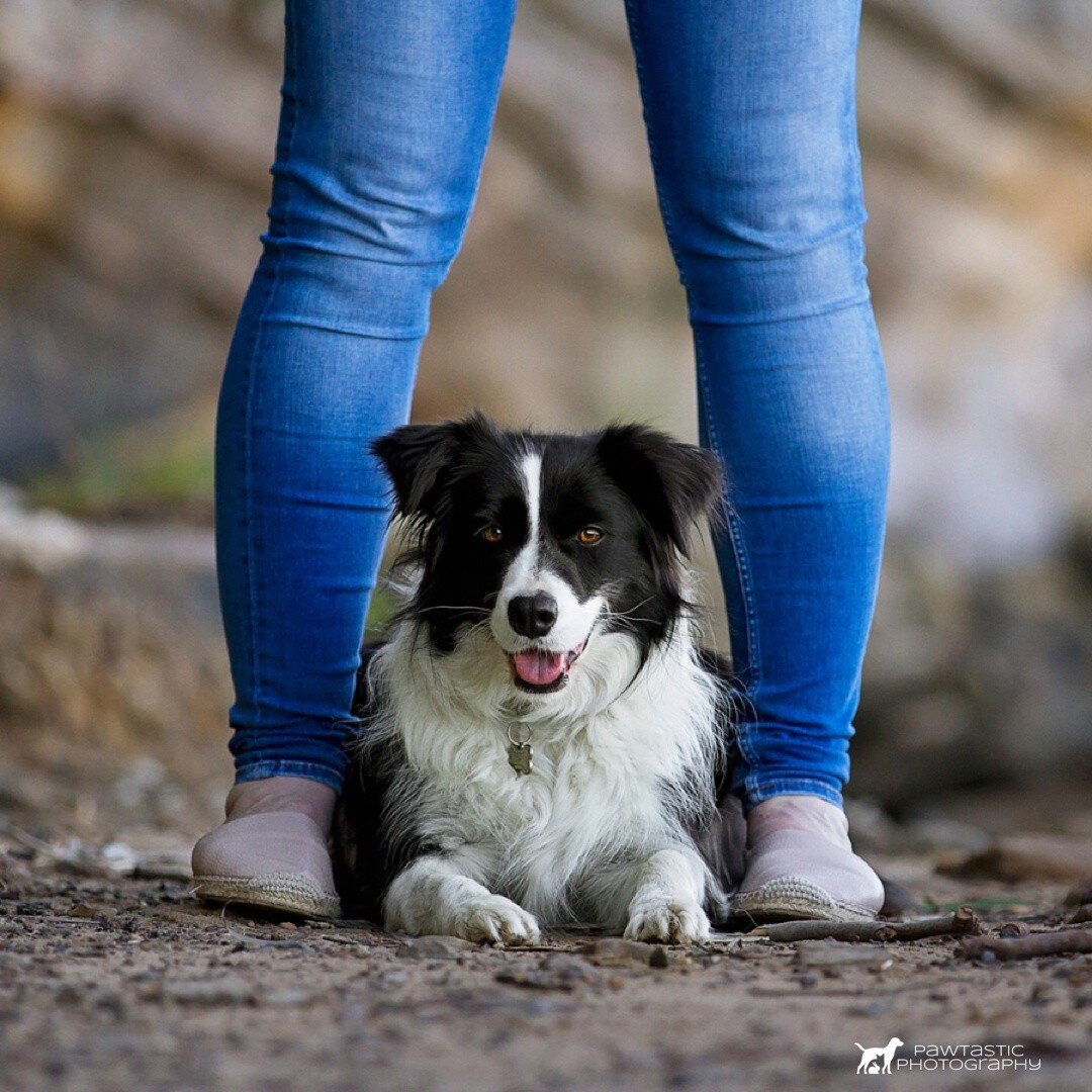 The bond that you share with your pets is irreplaceable. I can't imagine my life without my furry ones and I bet your the same. ⁠
⁠
So if you're looking to get some great images of your best friends then get in touch. ⁠
⁠
I'm always happy to make new