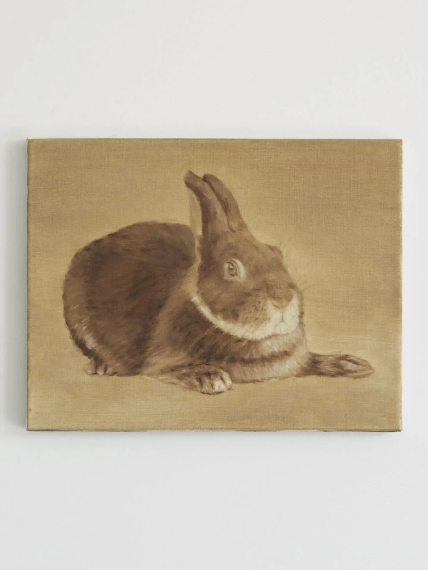 The Rabbit (2025)
11 x 14 in
Oil on linen

All work is available on the-prairie.com. 
To inquire, please contact hello@the-prairie.com.