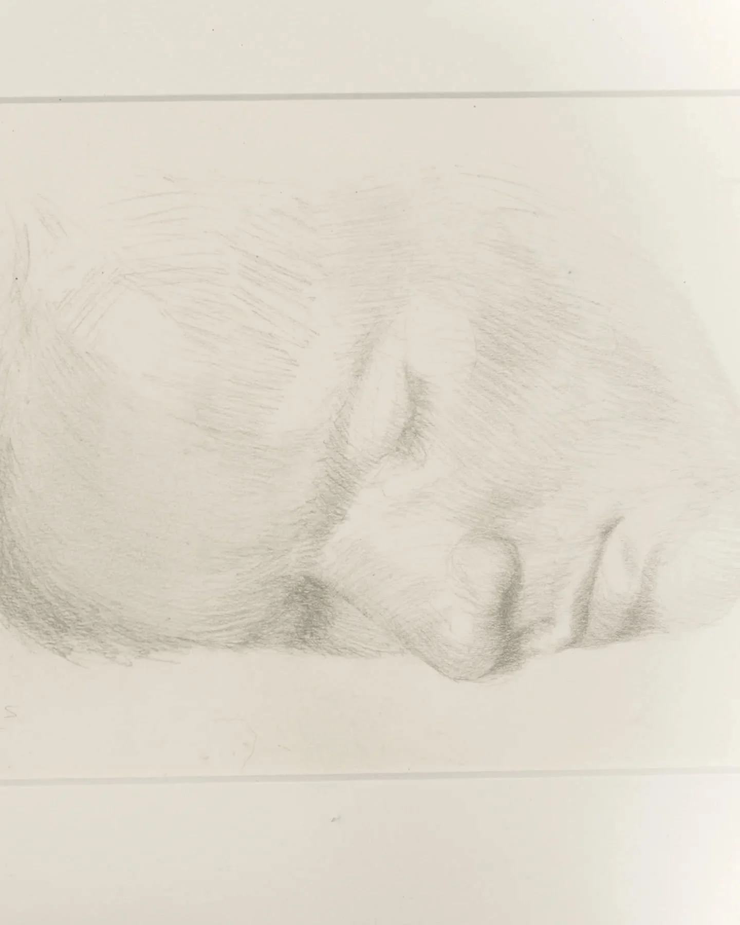 Tomorrow is the last day to view 'The Island' at Prairie located at 106 College Street in Buffalo. The gallery is open by appointment from 11 am &ndash; 5 pm. For all inquiries and to book an appointment please contact hello@the-prairie.com.

All wor