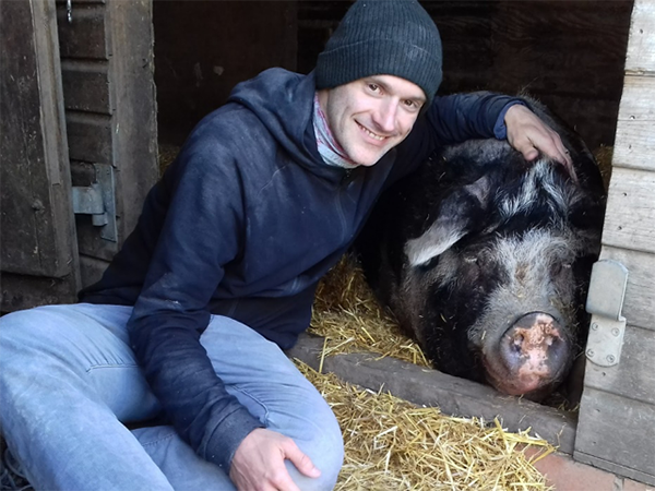 Author with Pig Violet at Brook Farm Animal Sanctuary , March 2019