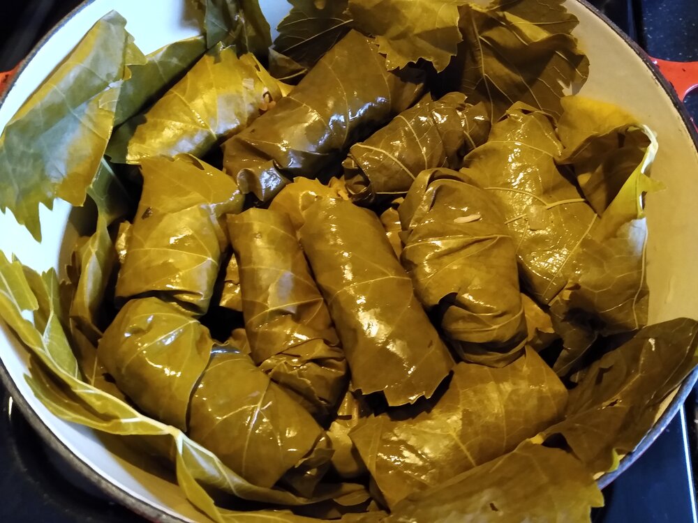 Dolma ready to cook.jpg
