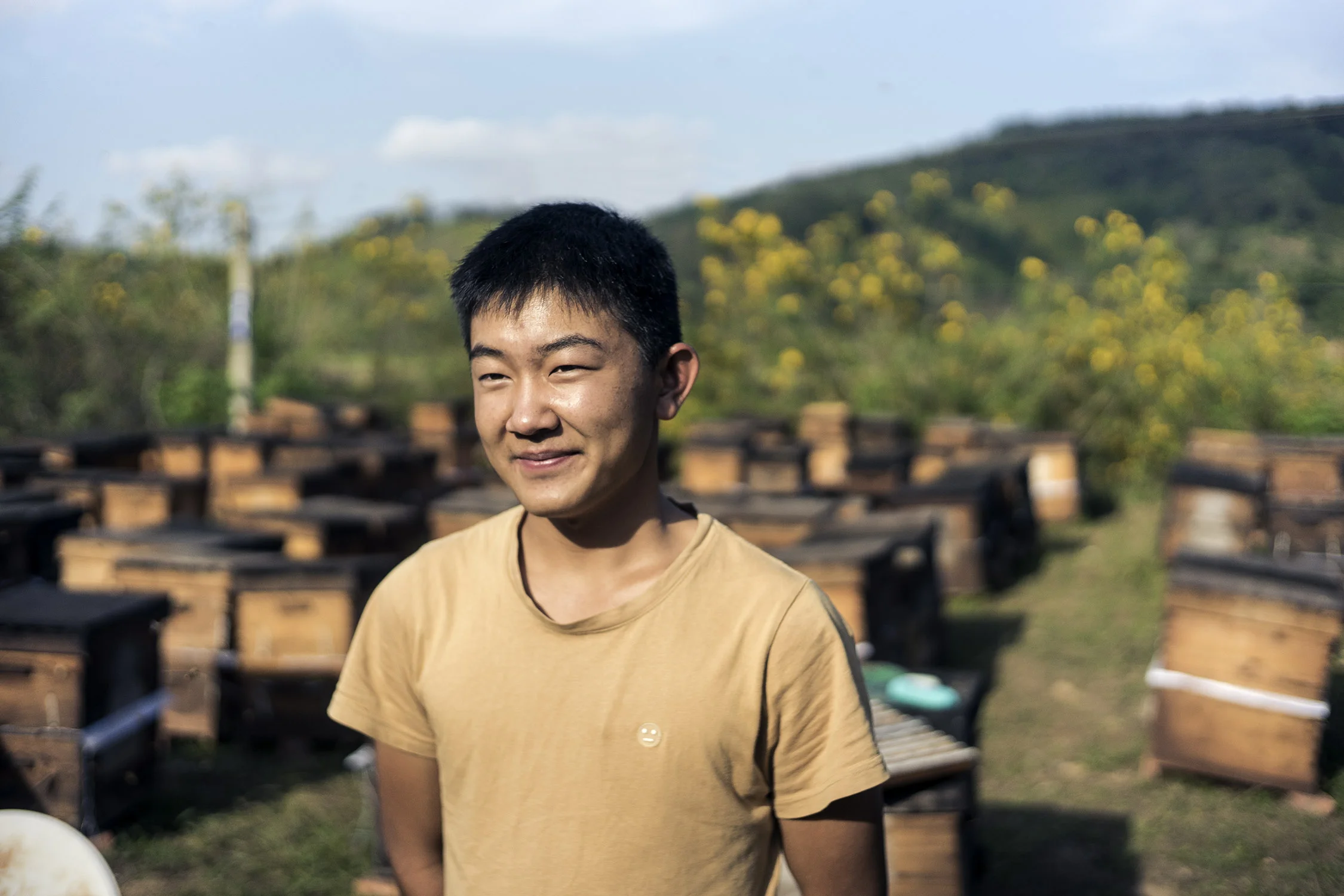 The beekeeper's apprentice