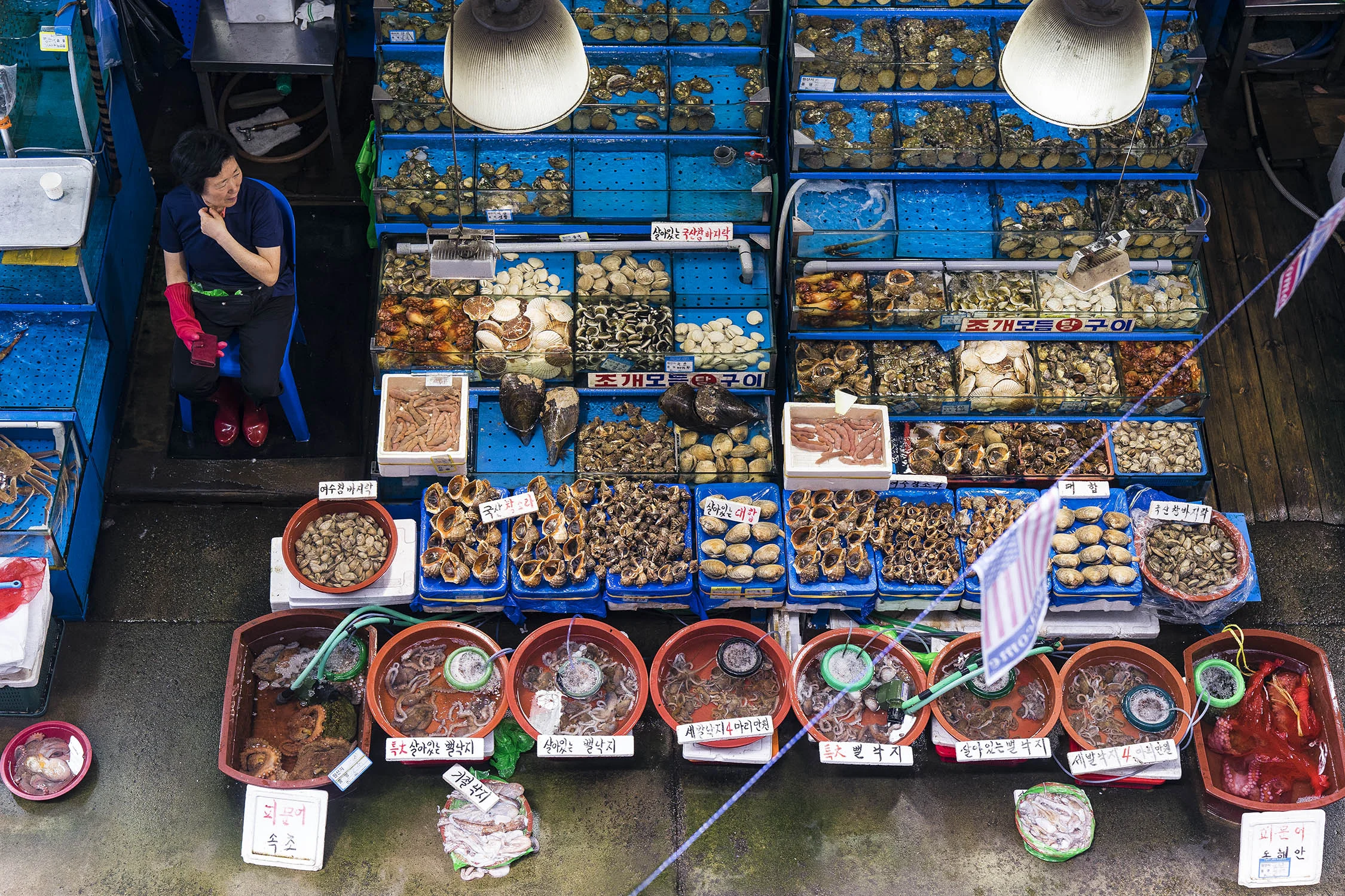the battle of noryangjin market