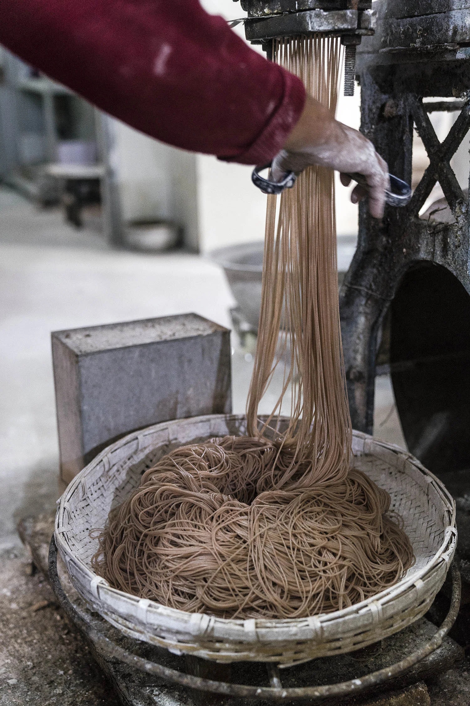 Rice_Noodles_05157.jpg