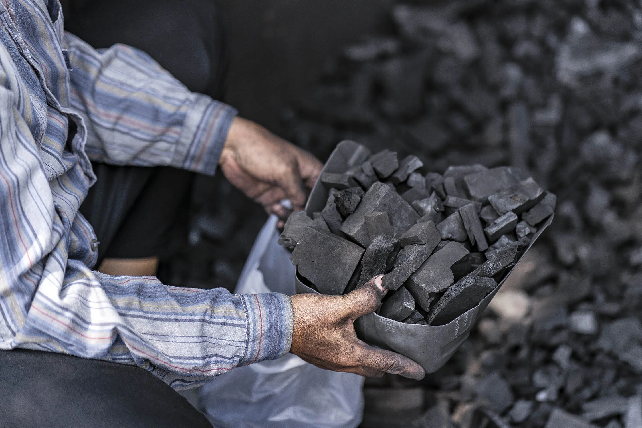 Charcoal_03544.jpg