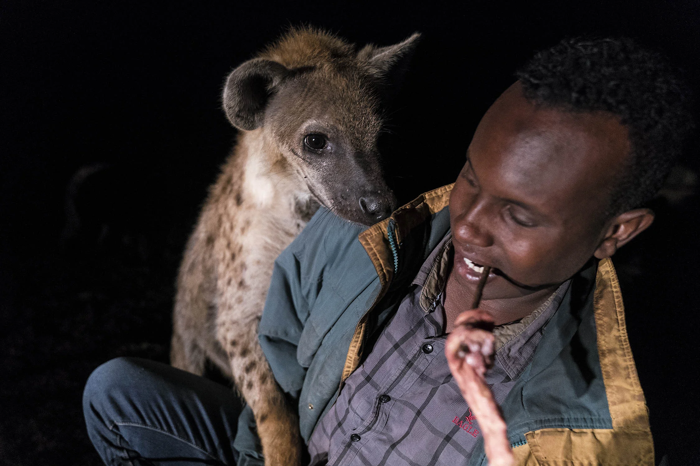 Hyena_04409.jpg