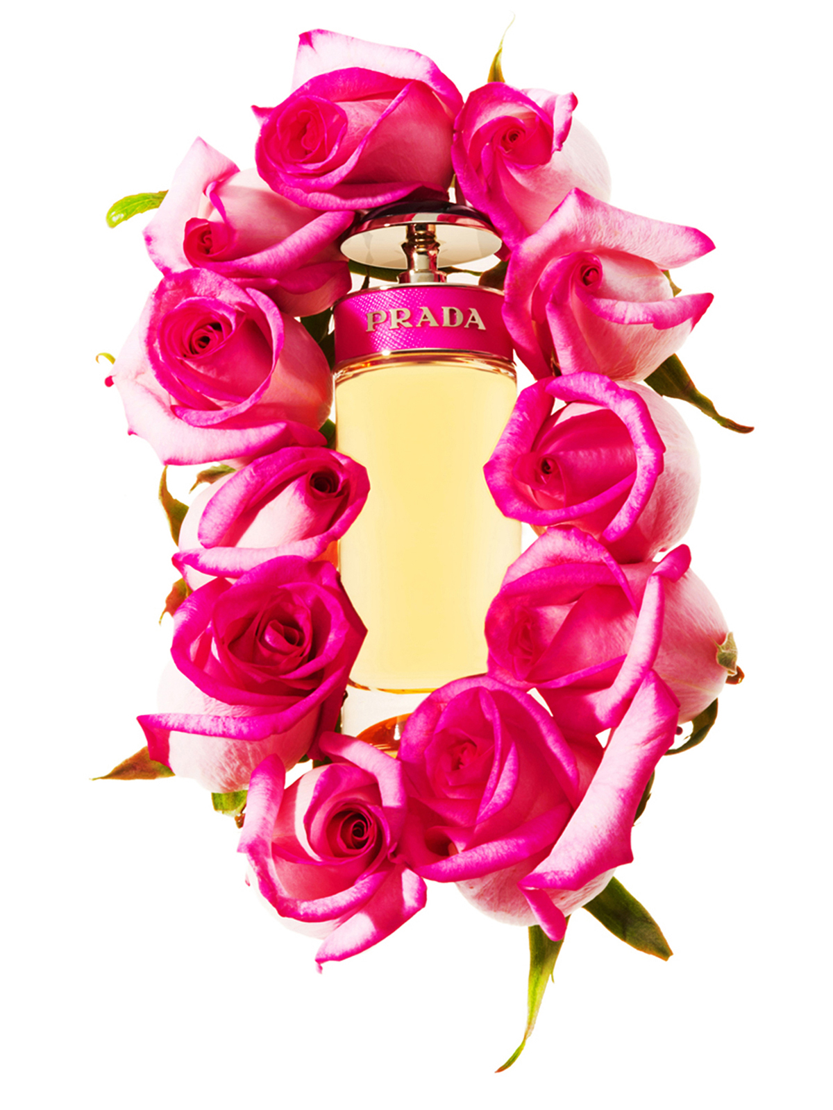 PRADA ROSES.jpg