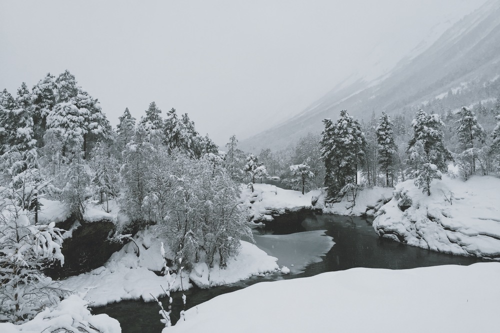 Had, as I write this letter, here's my view. The snow has been falling all morning, slowly weighing down the branches and covering the banks of the sleepy river. My favorite thing about this picture is that it looks black and white, but its not. Those are just the true colors of this beautiful world right now.