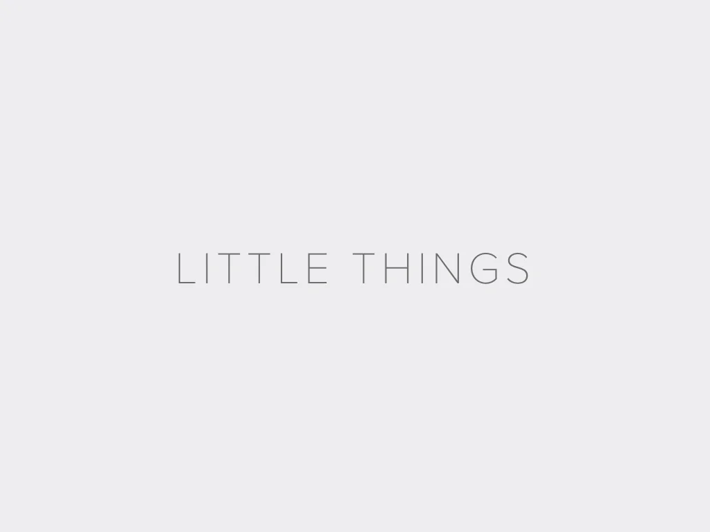 LITTLE THINGS