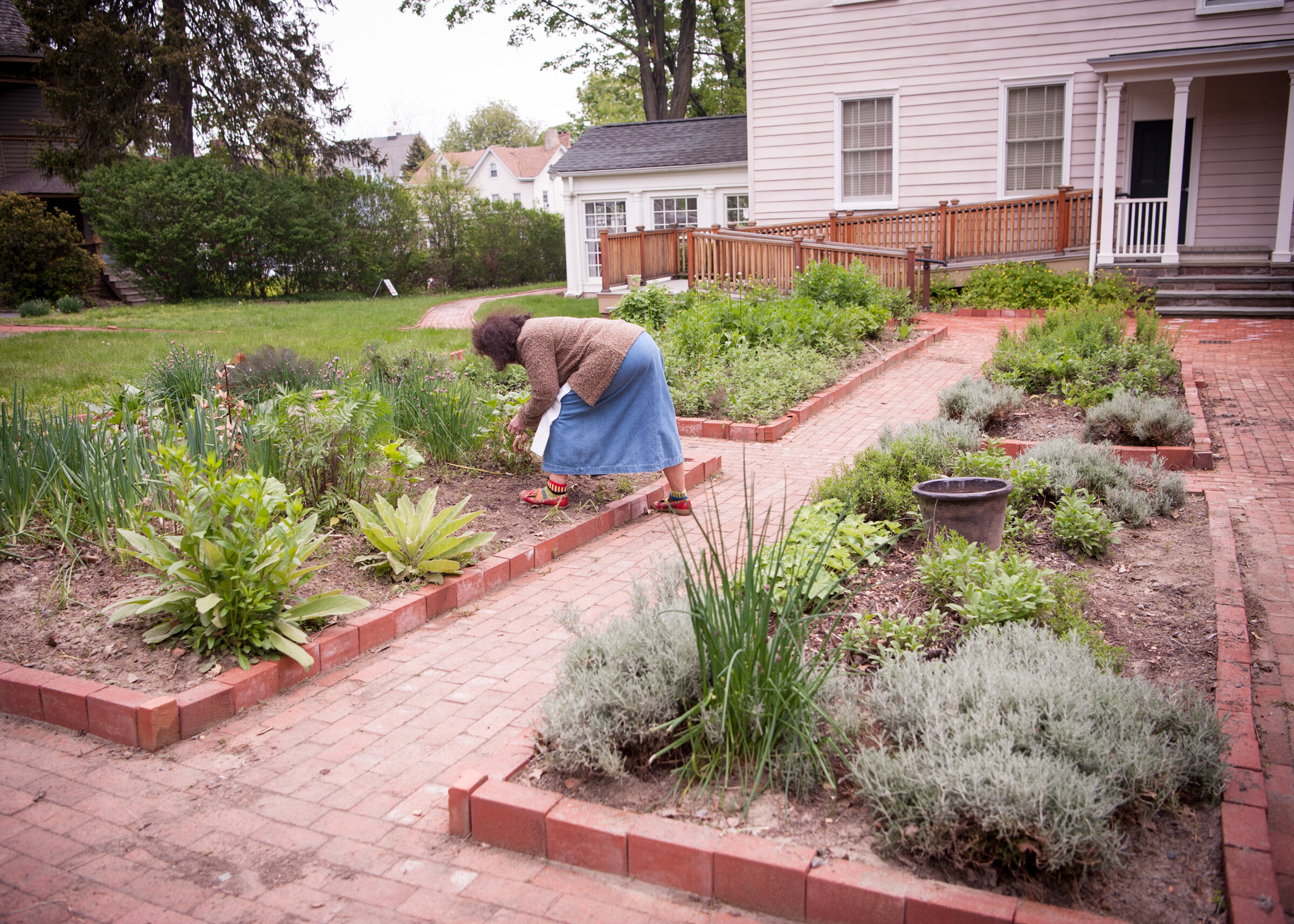  Gardener stooping over plants in garden 