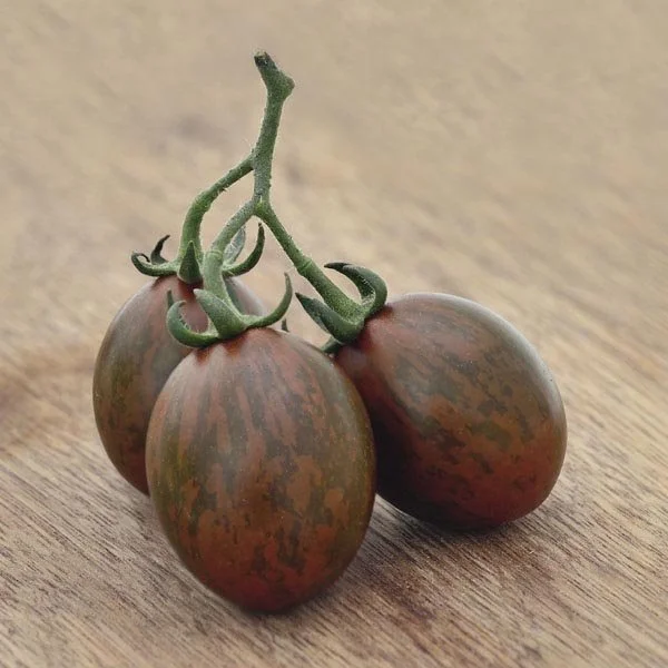 Chocolate Sprinkles.jpg