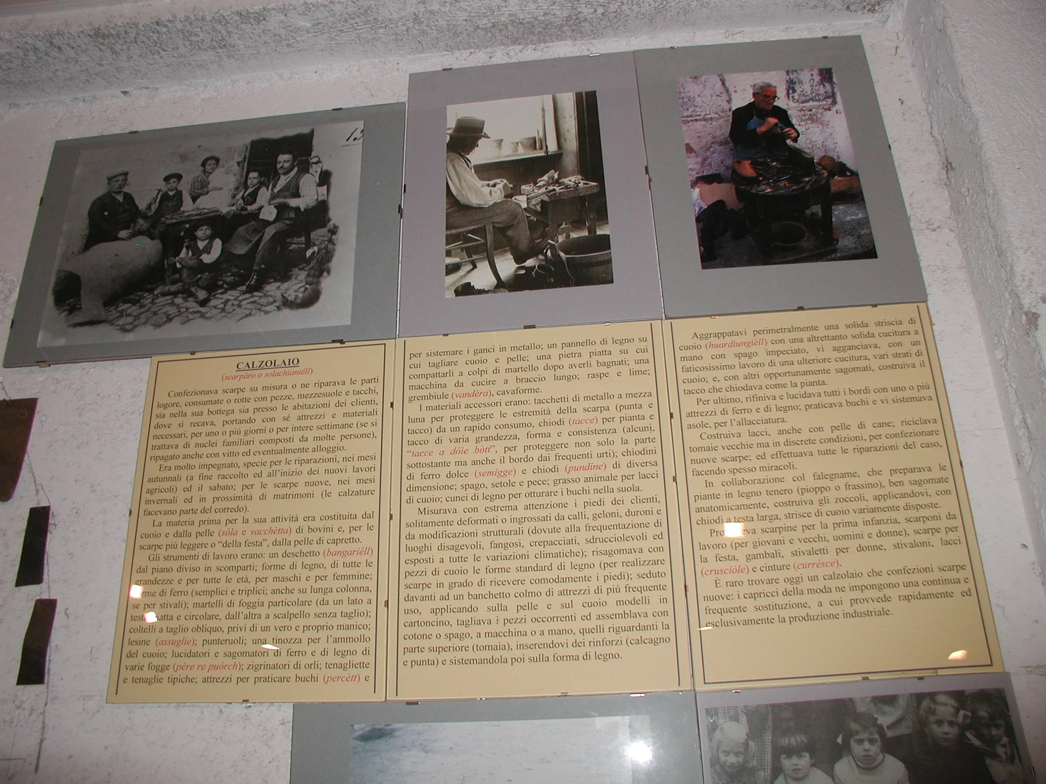 P1010017.JPG