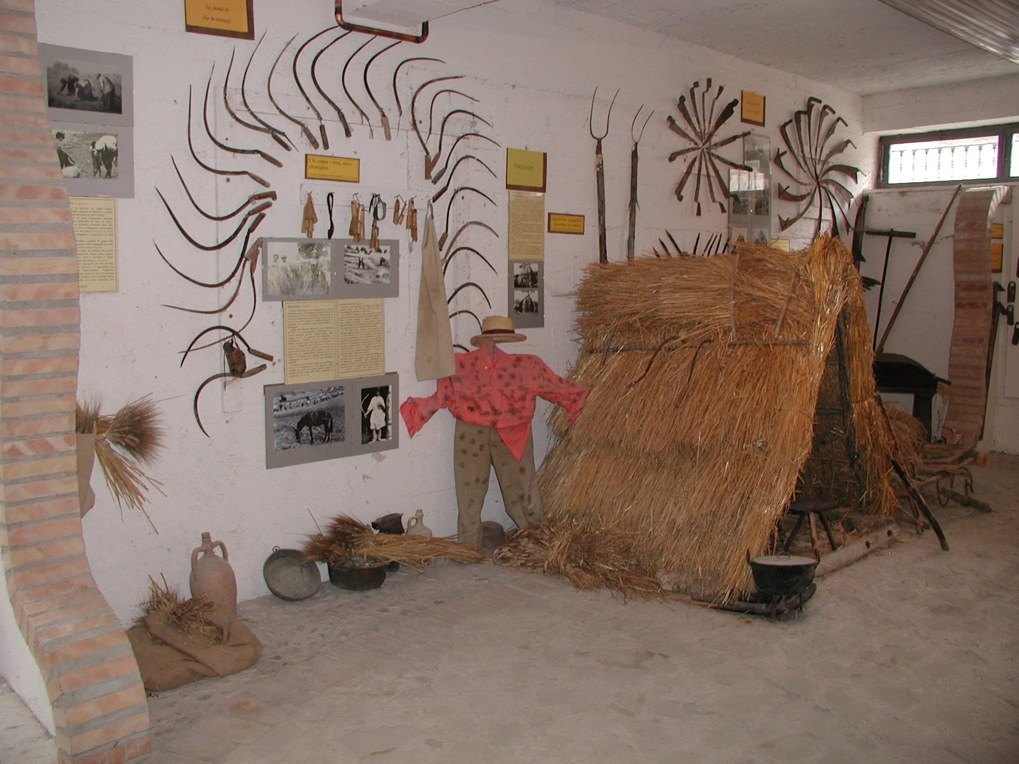 P1010049.JPG