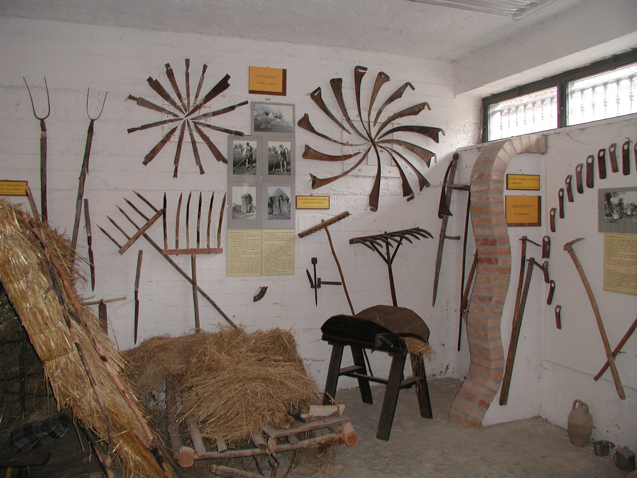 P1010051.JPG