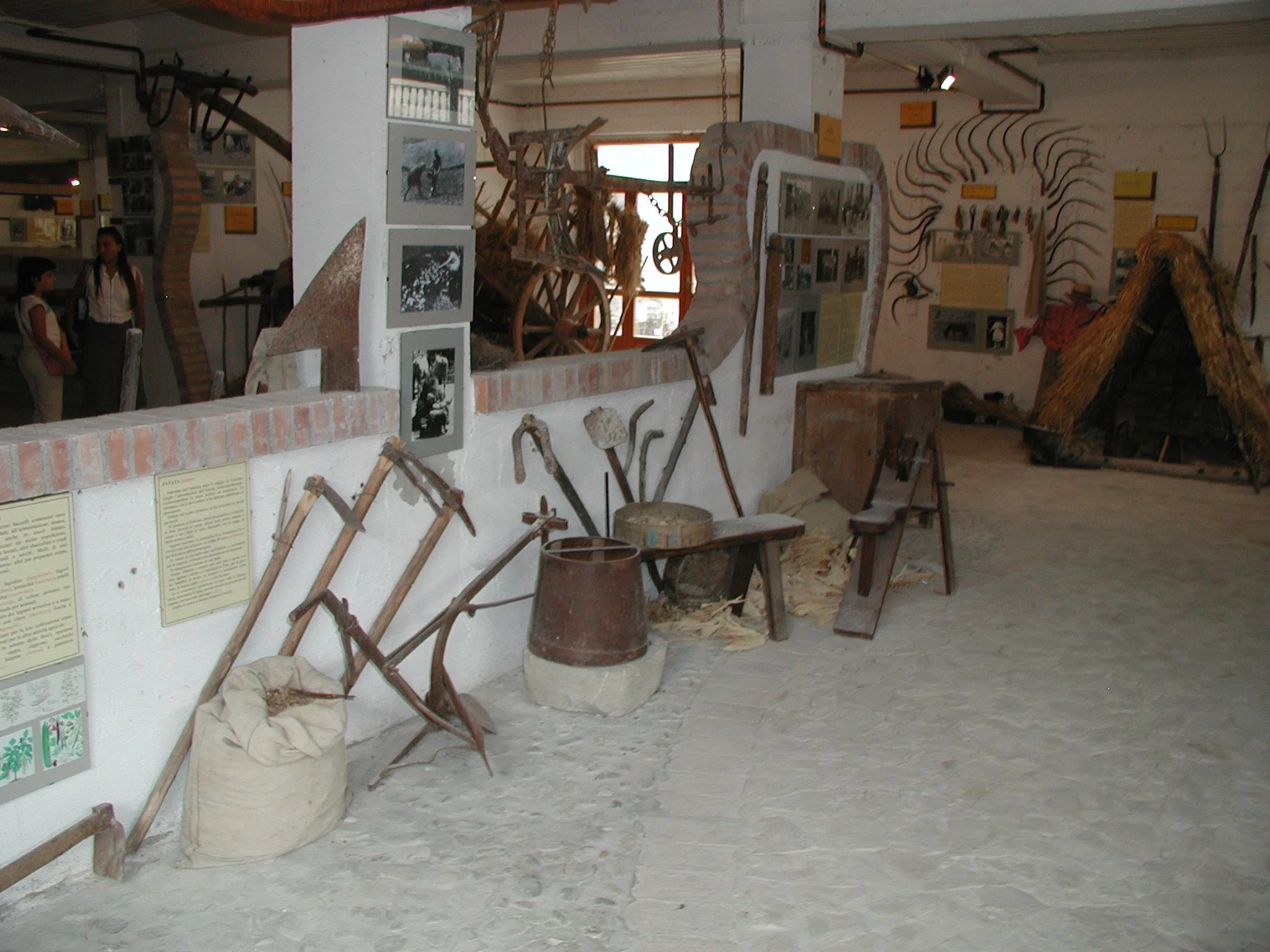 P1010056.JPG