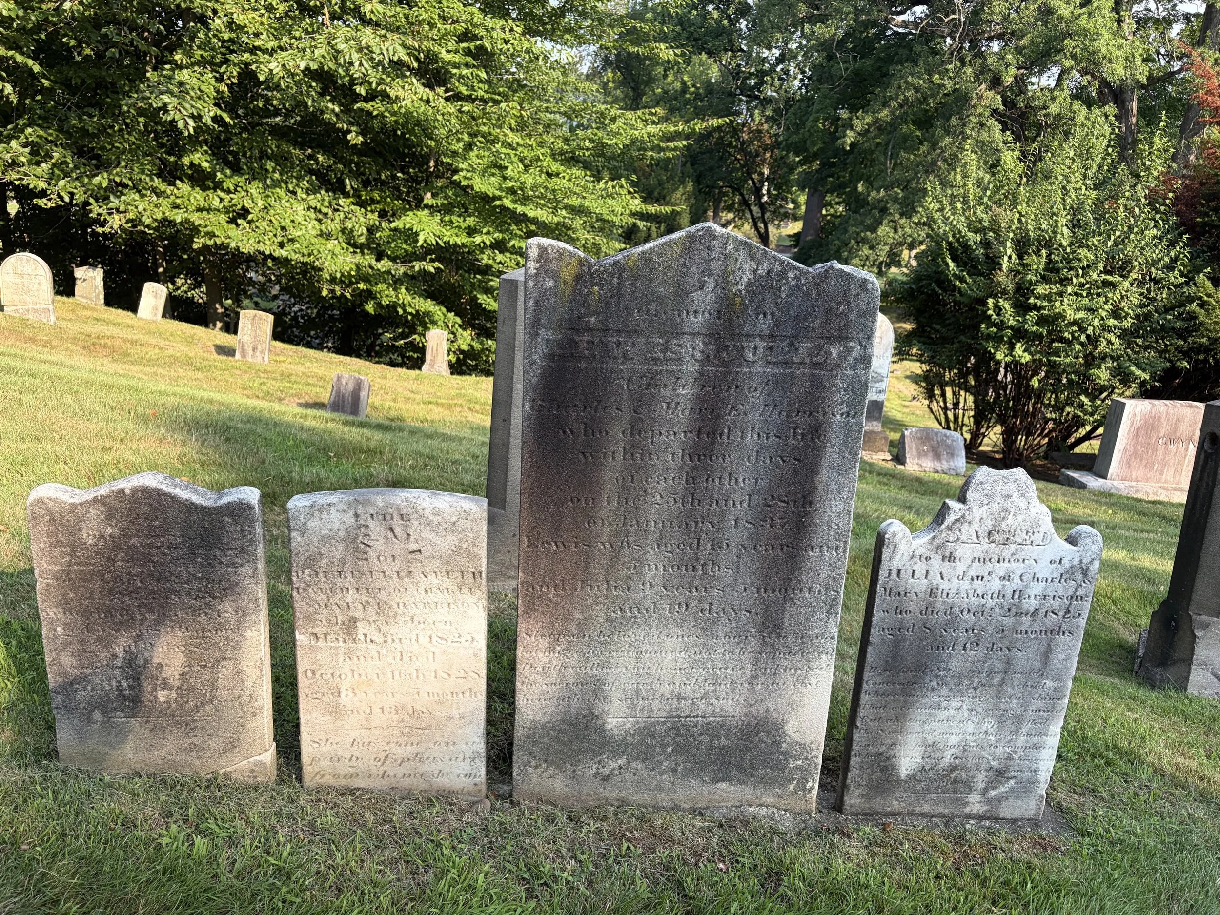 Rosedale Cemetery Tour - Carriage Route Tour 