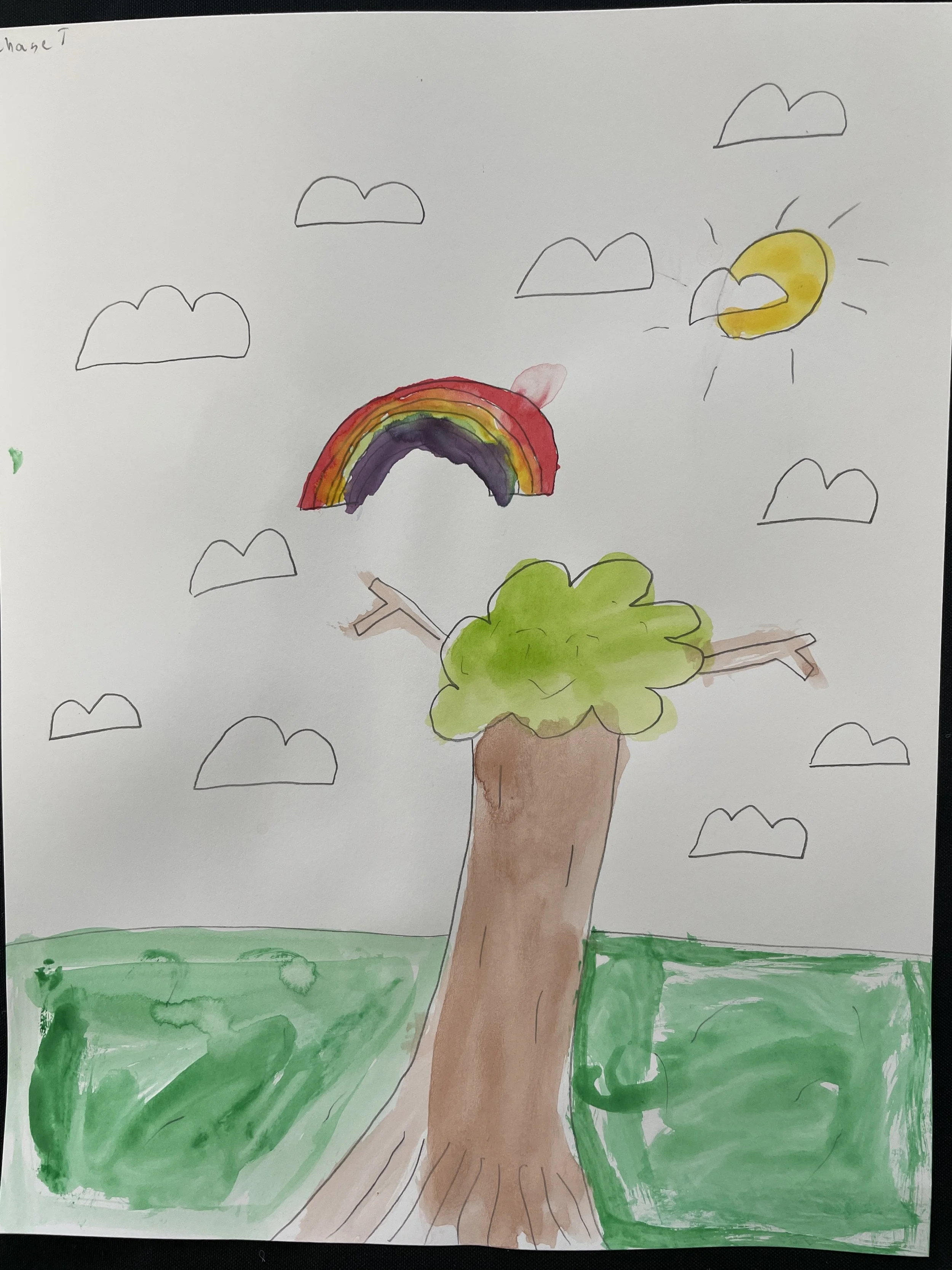 Chase WATERCOLOR.JPEG