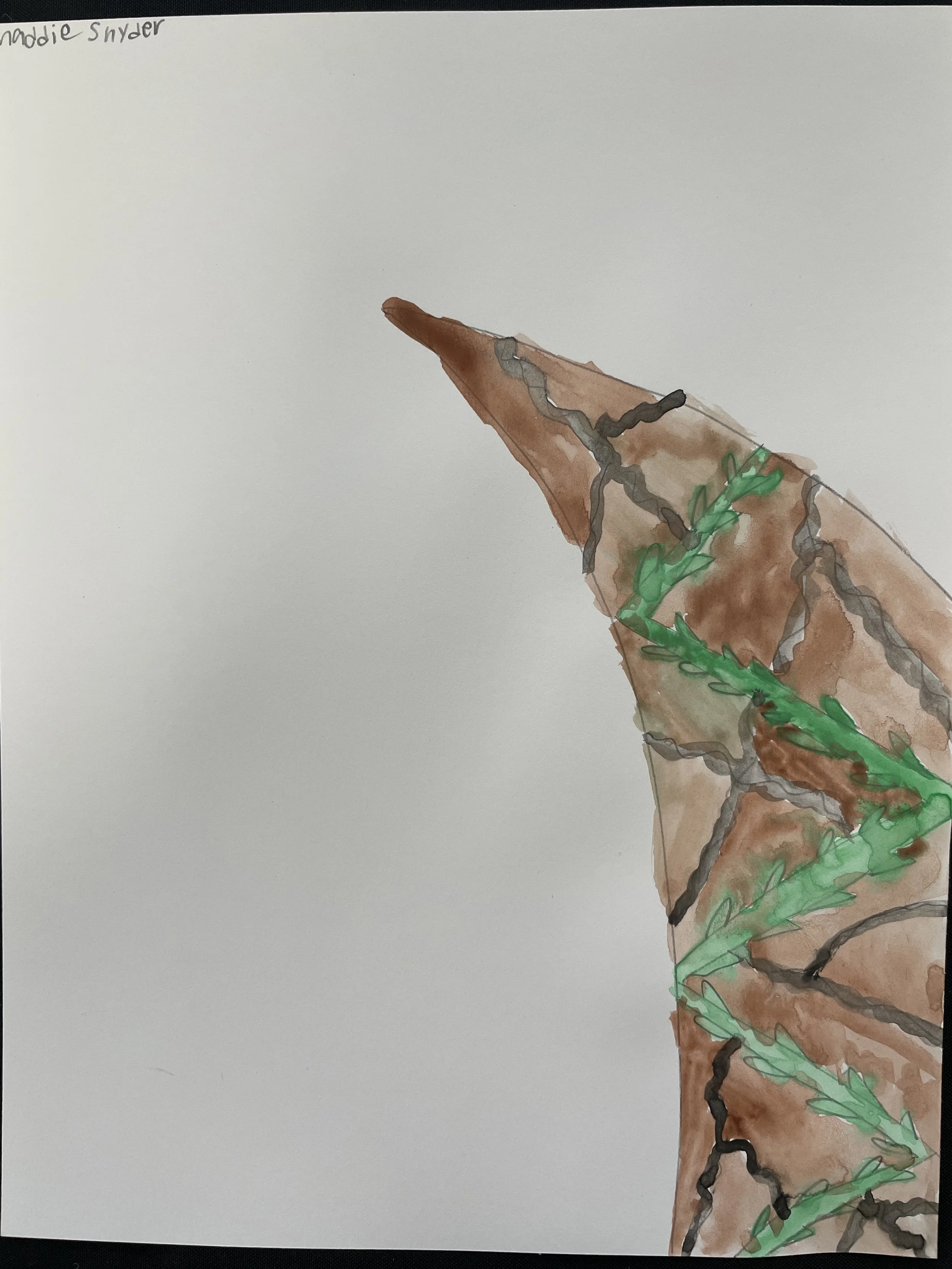 Maddie WATERCOLOR.JPEG