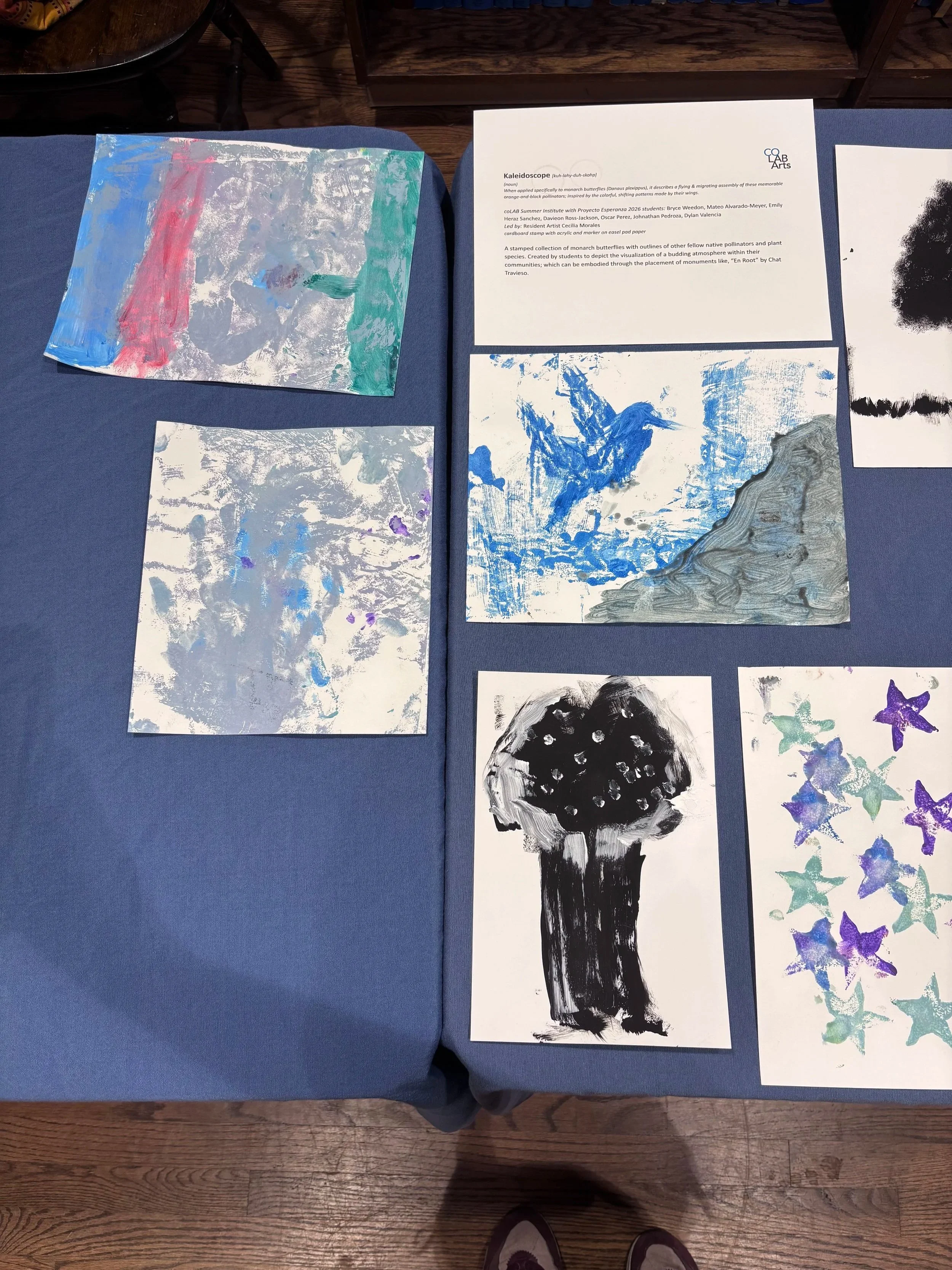 Kaleidoscope Project