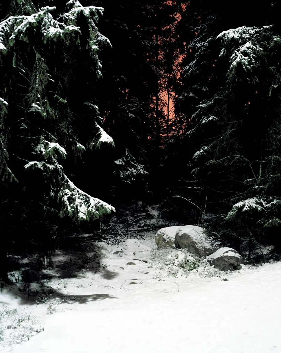 Anne Golaz, de la série "Metsästä - from the woods", 2010-2012
