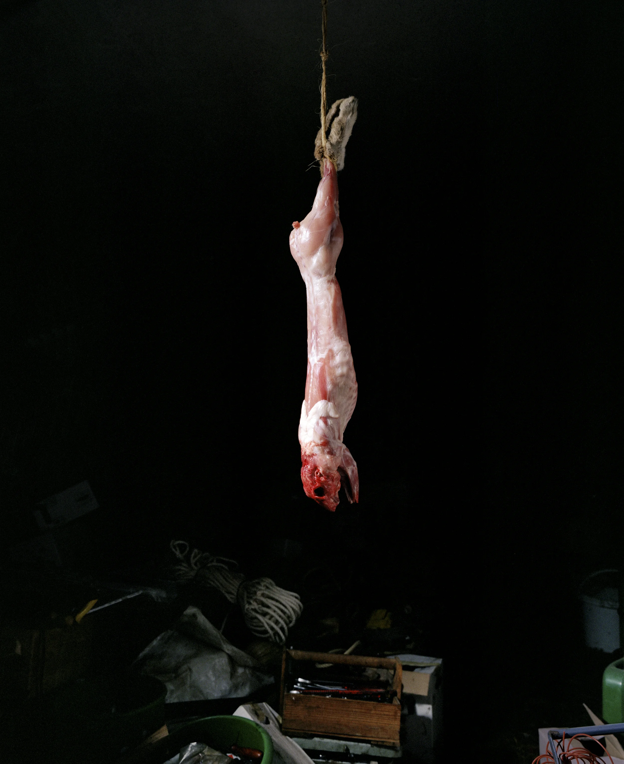 Anne Golaz, de la série "Scènes Rurales", 2008