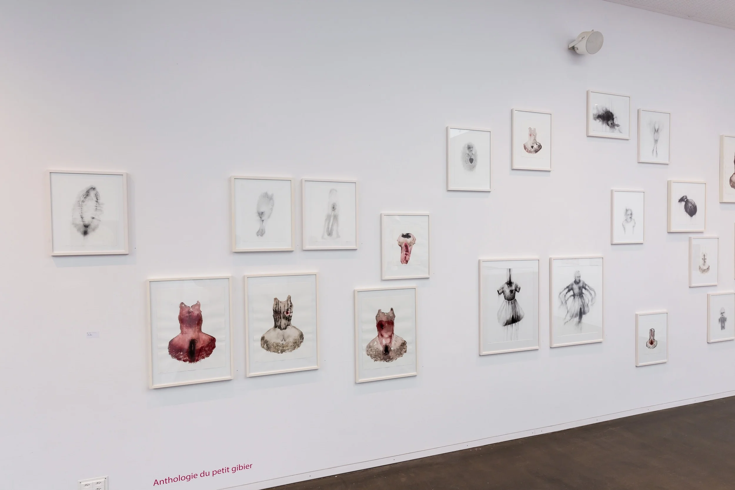 Guy Oberson, vue d'exposition "Carte Blanche à Guy Oberson", 2016