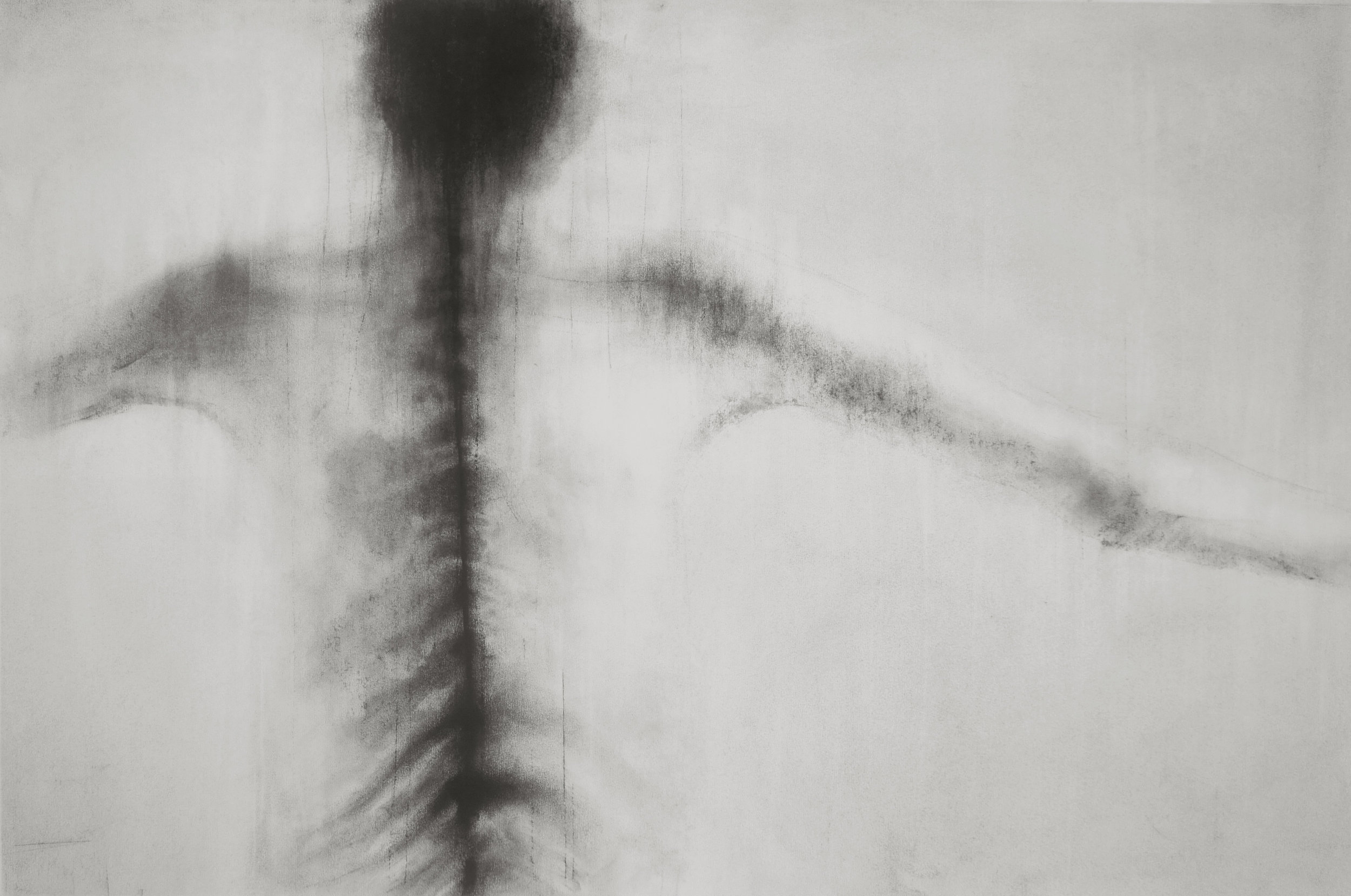 Guy Oberson, "Peau", pierre noire sur papier, 60 x 90 cm, 2017