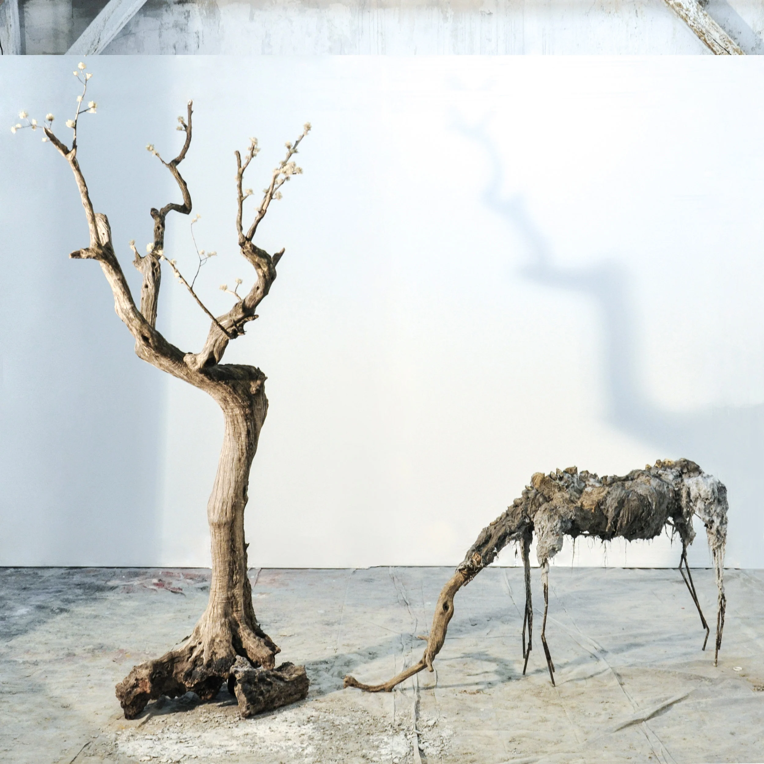 Visuel: Lionel Sabatté