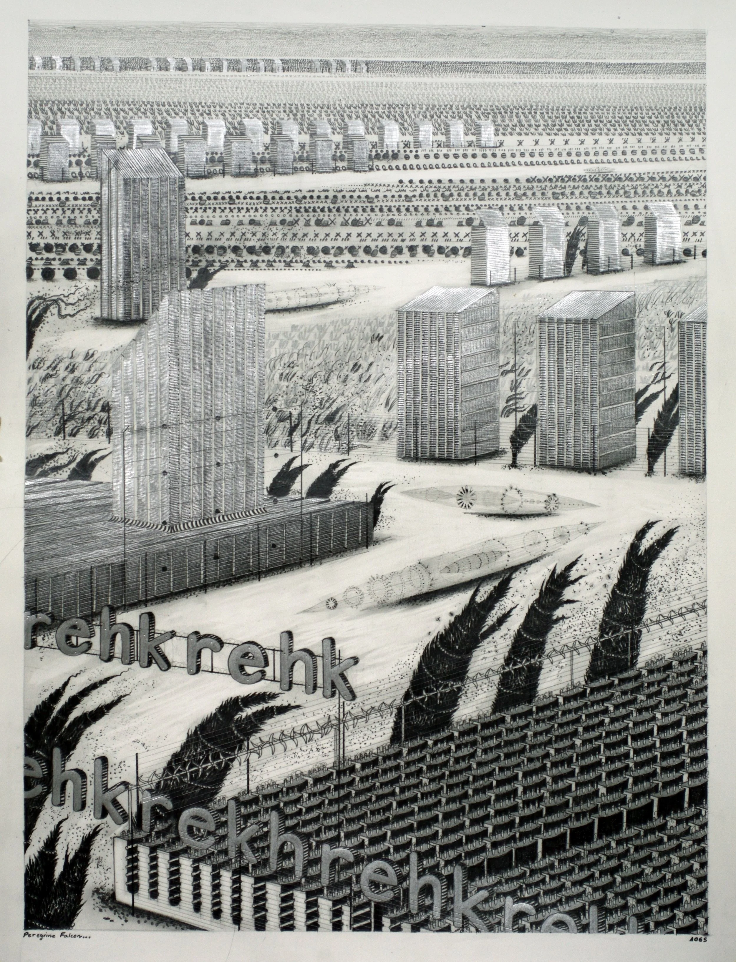 "Peregrine Falcon N°1065" Hipkiss