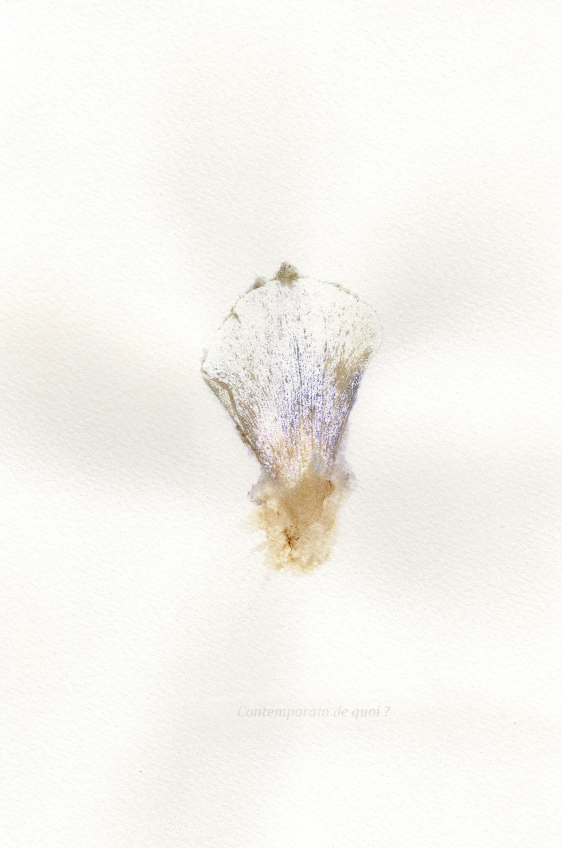 Jérémie Bennequin, "Contemporain de quoi?", 24 x 16 cm, pigment naturel de fleur sur papier, 2016