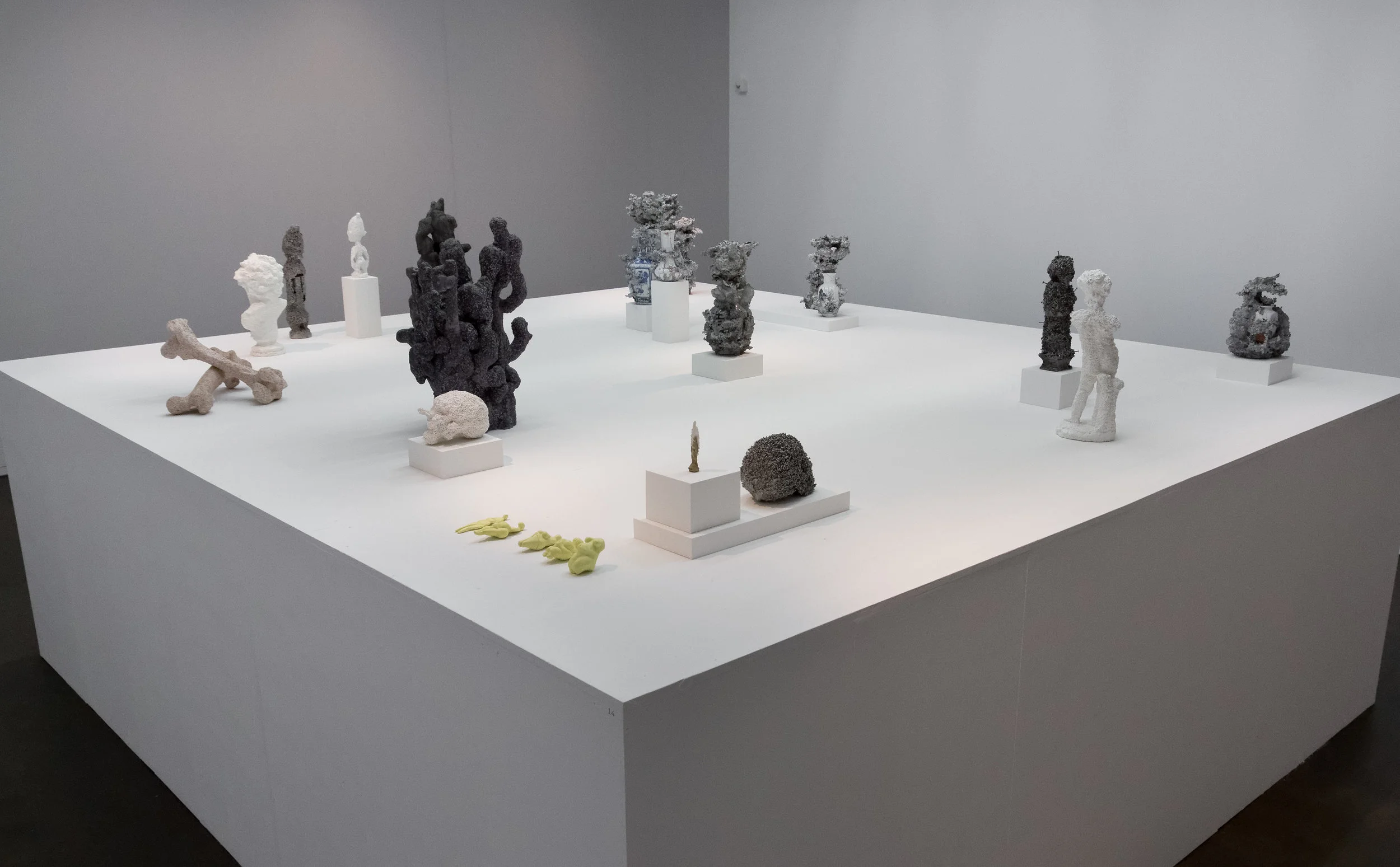 Vue d'exposition, Christian Gonzenbach. © 2017 Galerie C, Suisse. Tous droits réservés.