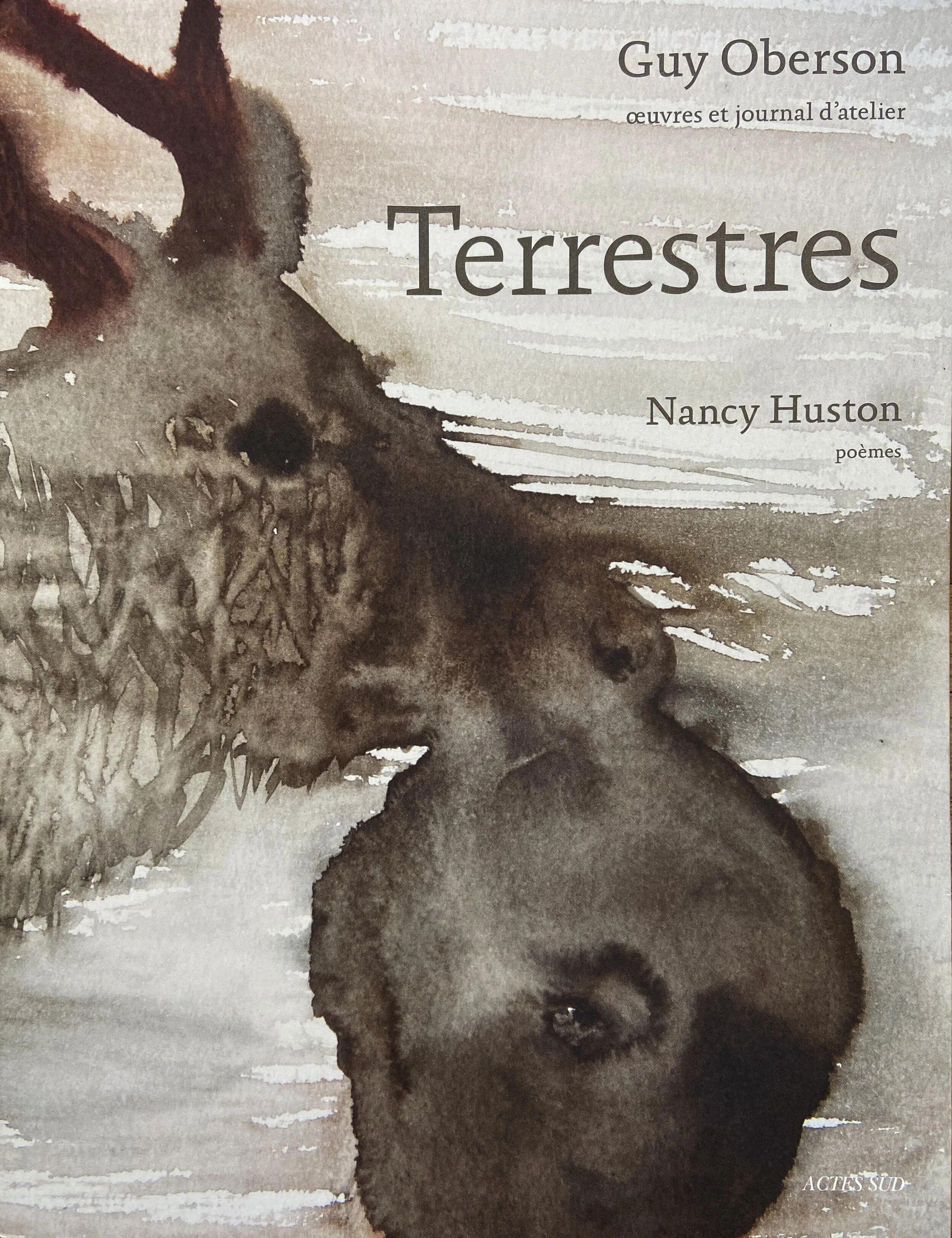 terrestres.jpg