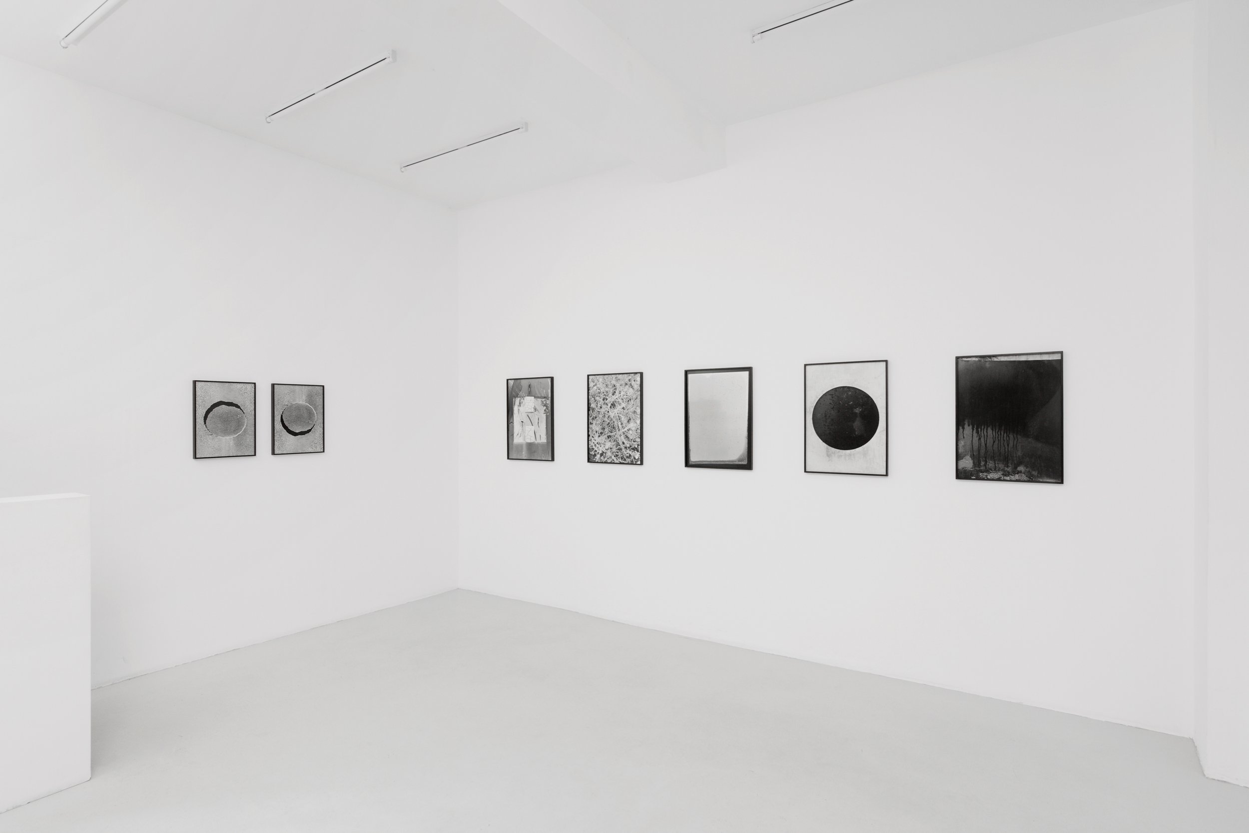 Lukas Hoffmann, vue d'exposition, Galerie C- Paris, octobre-novembre, 2023, © Aurélien Mole