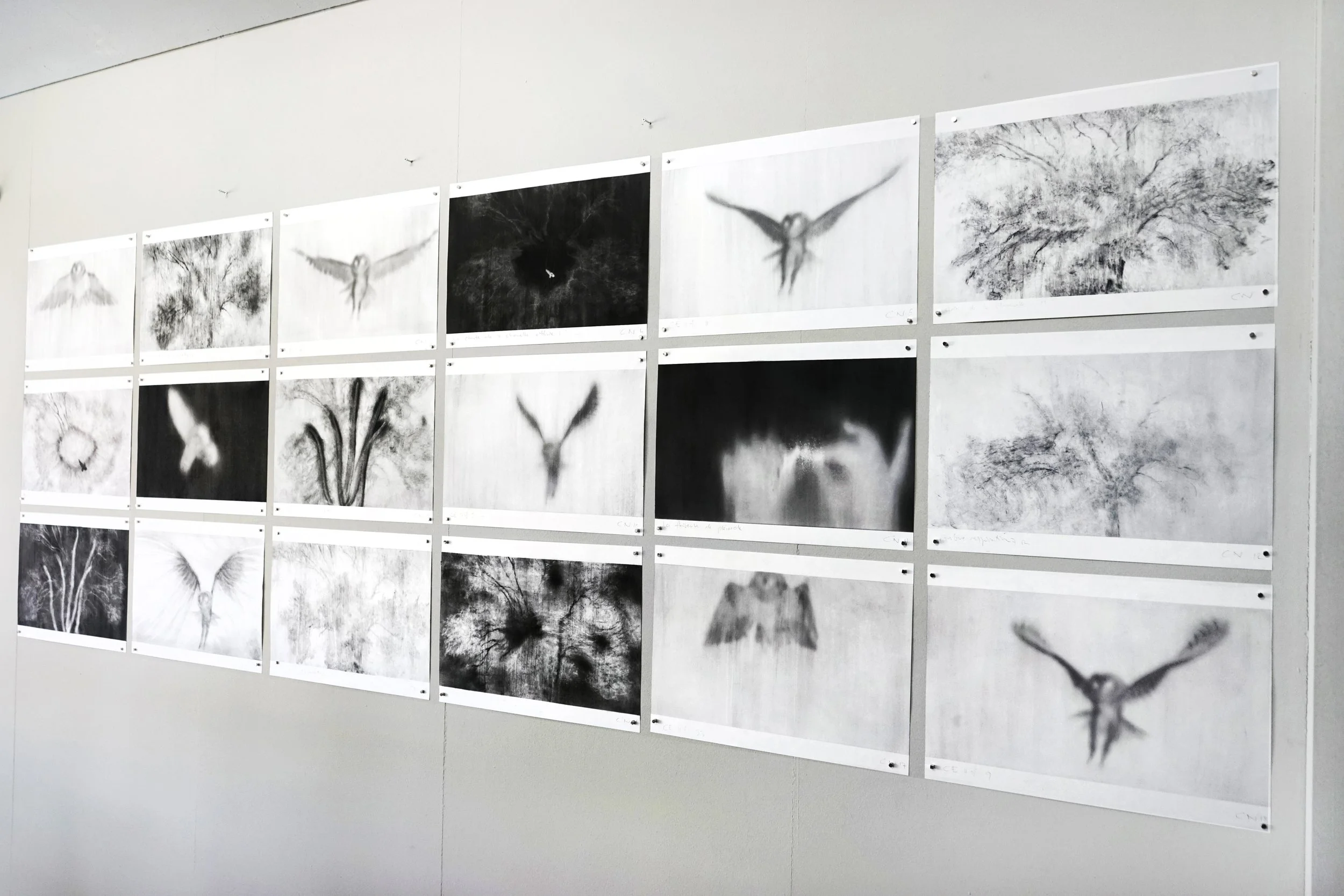 CORPS NOCTURNES, Ensemble de 18 de dessins, 29,5 x 42 cm chacun, 2025.jpg