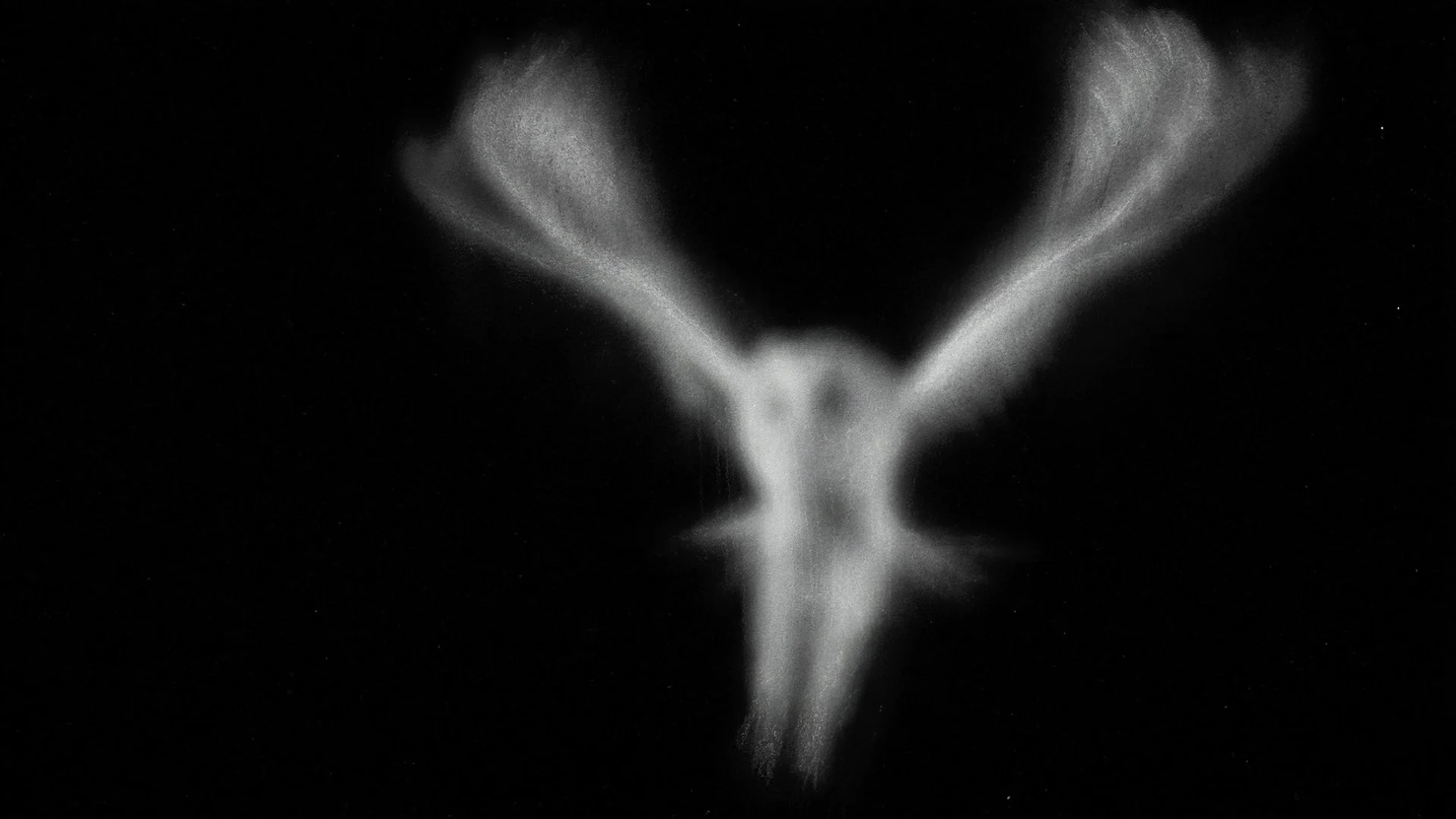CORPS NOCTURNES, Vidéo, 2'30 min., 2025 (capture d'écran 2).jpg