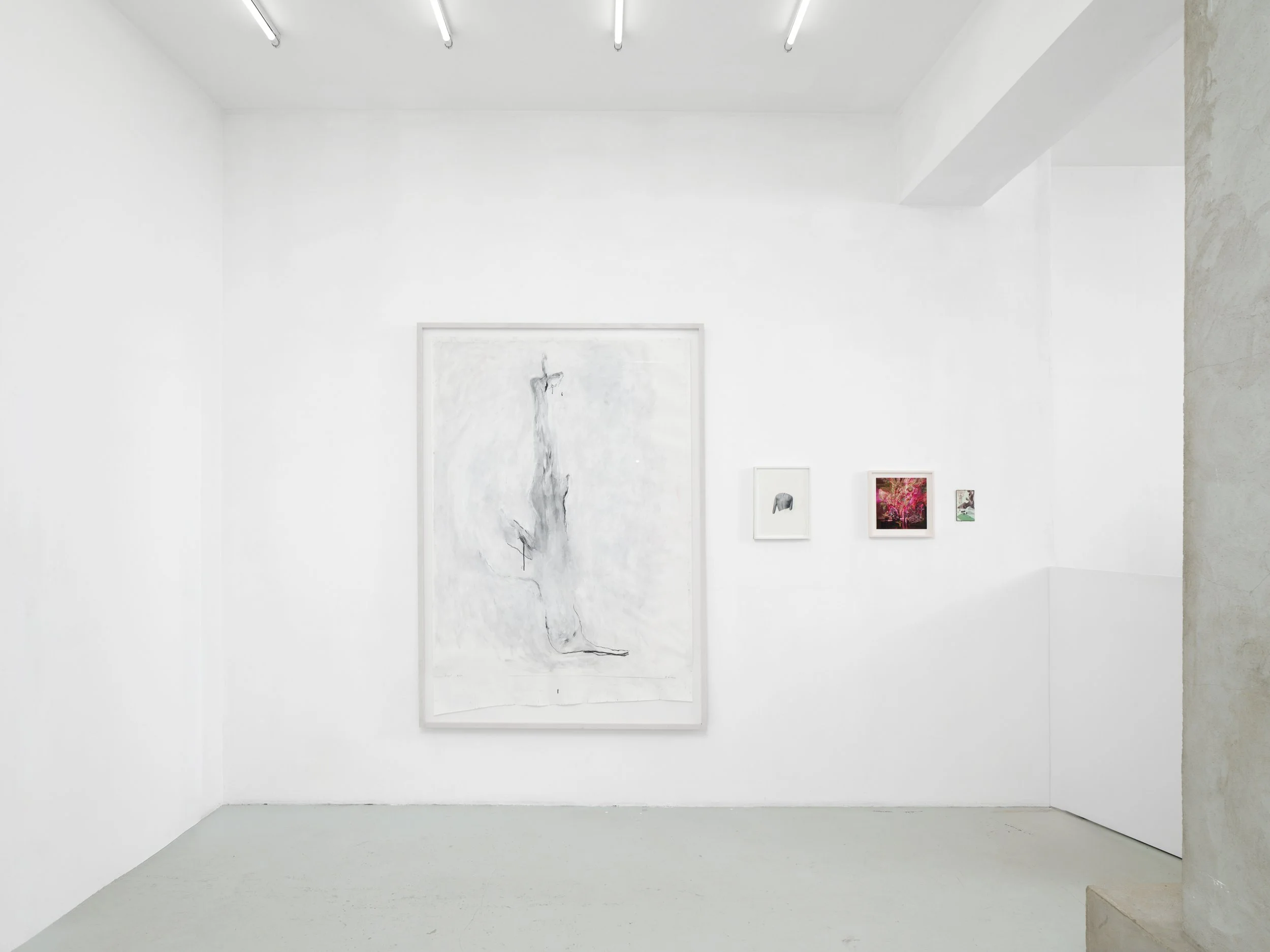 “Les fous de l’avenir”, vues d’exposition, Galerie C - Paris © Aurélien Mole