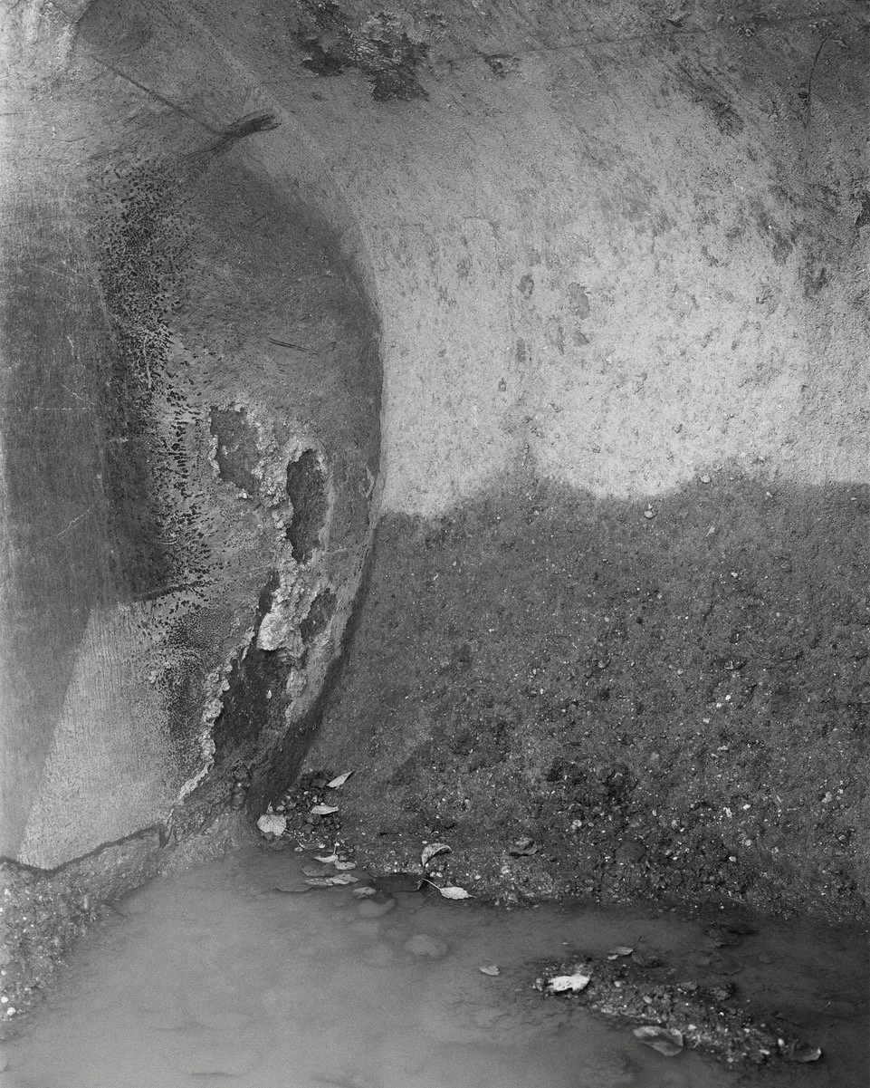 Lukas Hoffmann, « Godet II », 51 x 40 cm, Tirage gélatine-argentique, encadré, 2014, éd. 5 ex + 2 AP