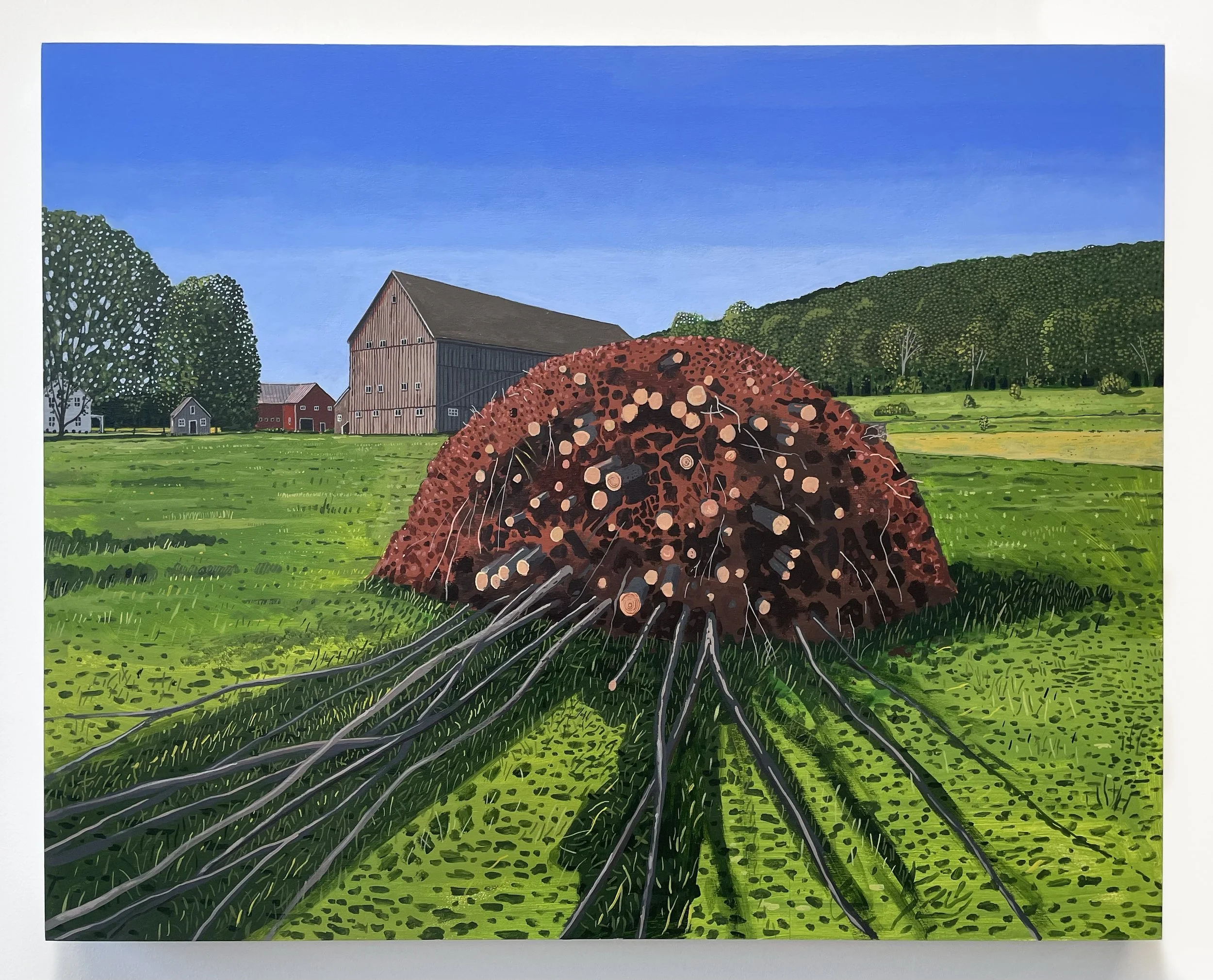 Henry Glavin, «Willow Root Ball», 2025, Acrylique sur bois, 61 x 76 x 3,8 cm