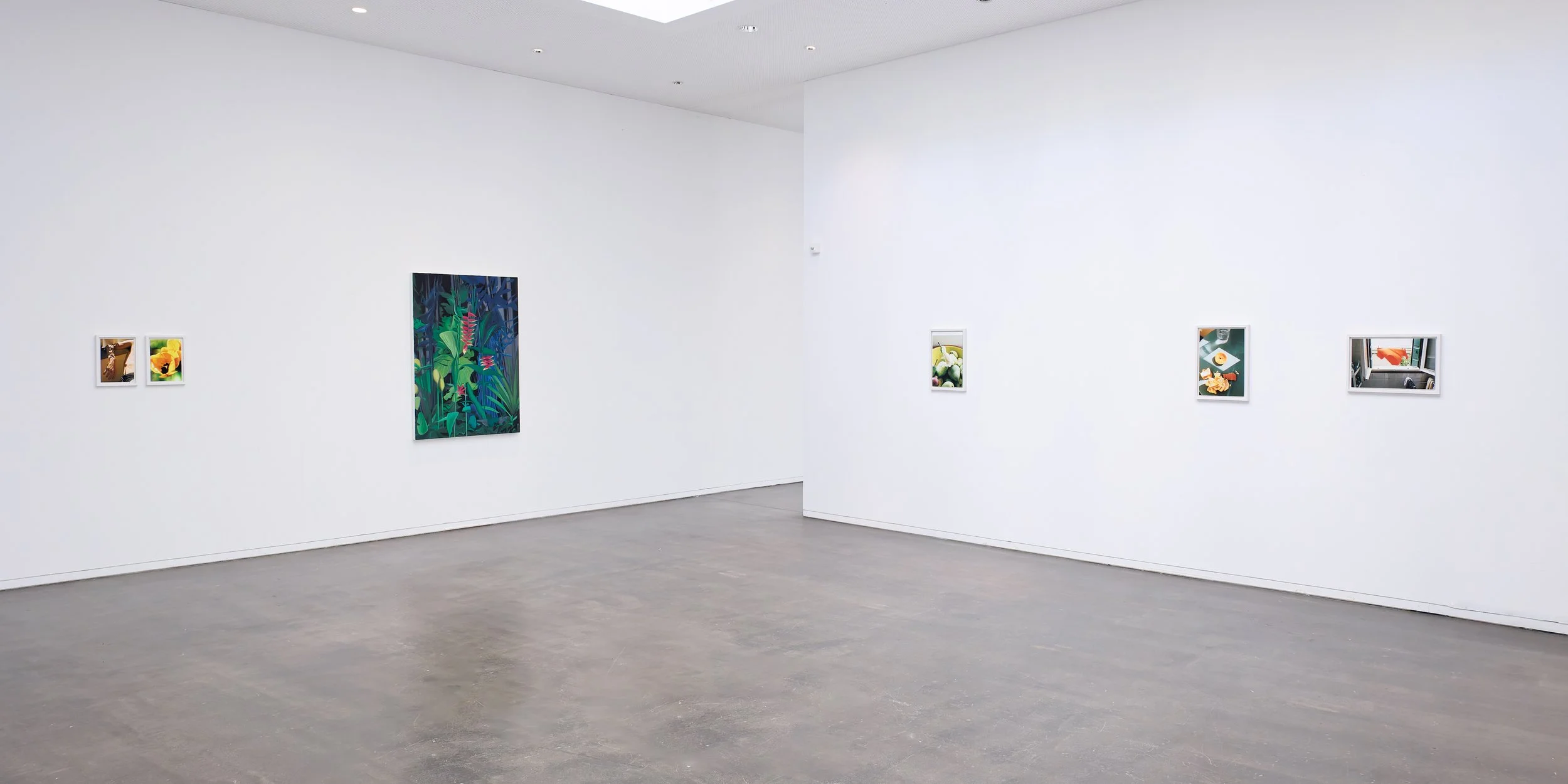 Mon désir suivra tes pentes - vue d'exposition 