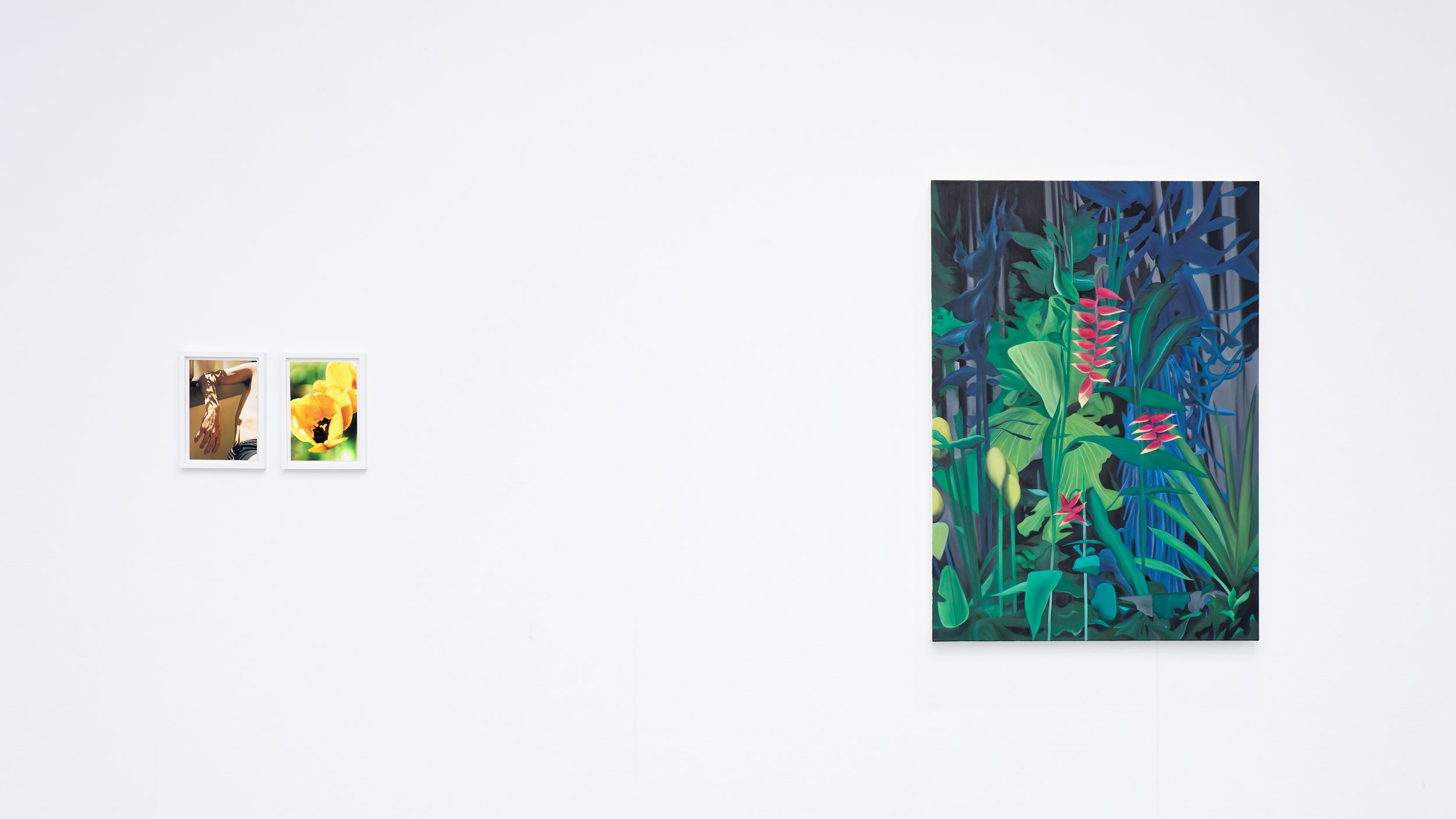 Mon désir suivra tes pentes - vue d'exposition 