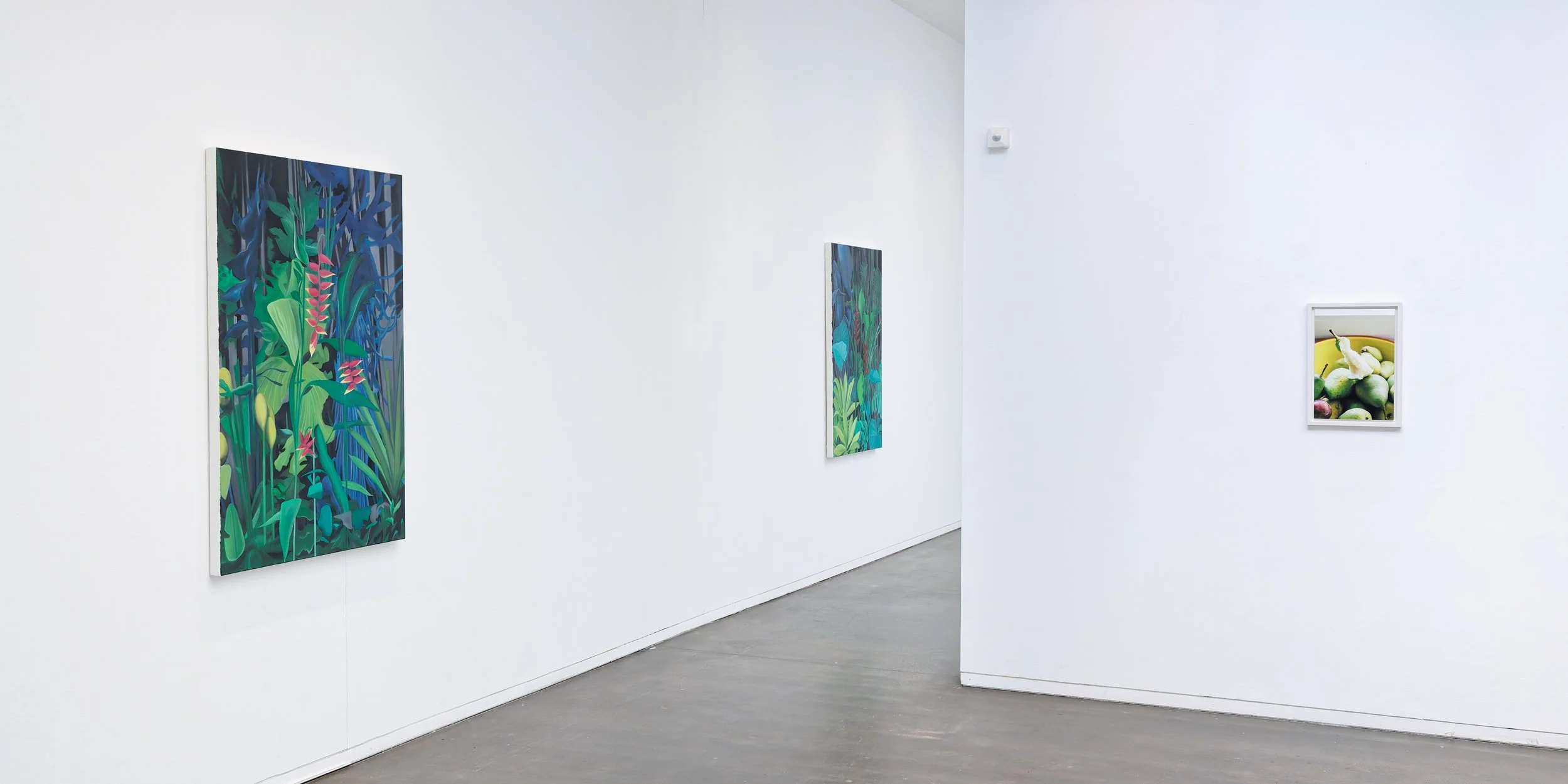 Mon désir suivra tes pentes - vue d'exposition 