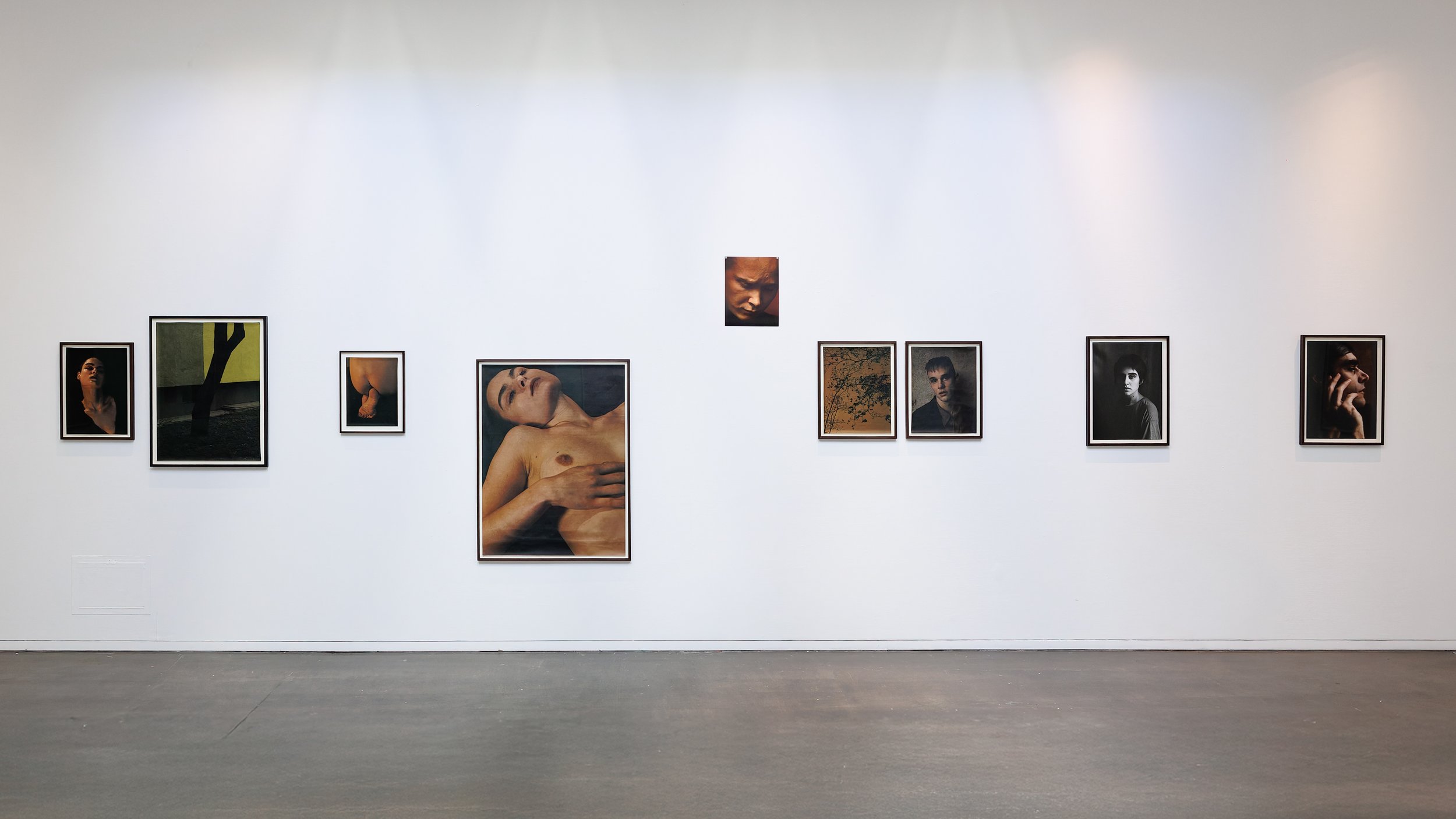 Le temps de l'immaturité - vue d'exposition 