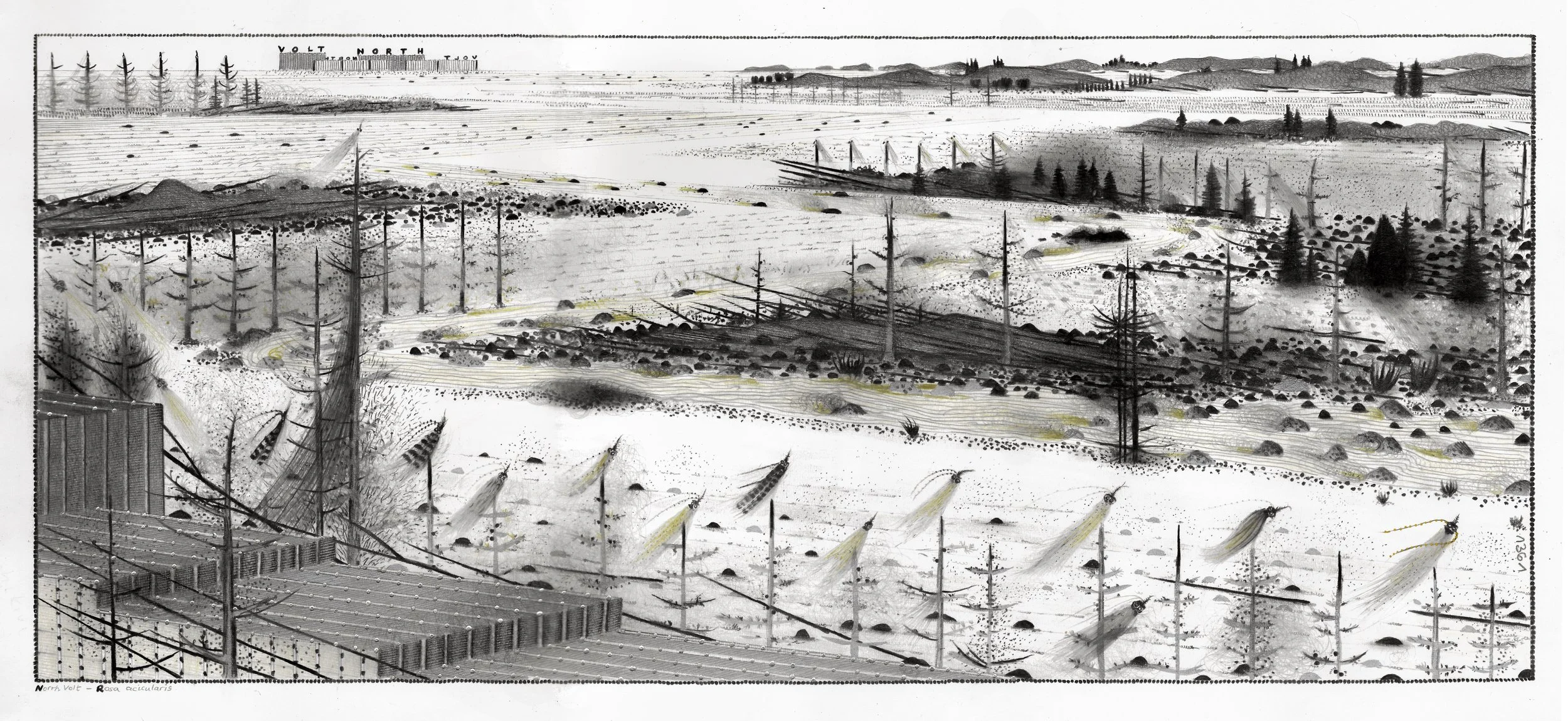 Hipkiss, «1361 - Re Northvolt», 2022, mine de plombe / encre / feuille métallique sur papier Fabriano 4, encadré, 26 x 57