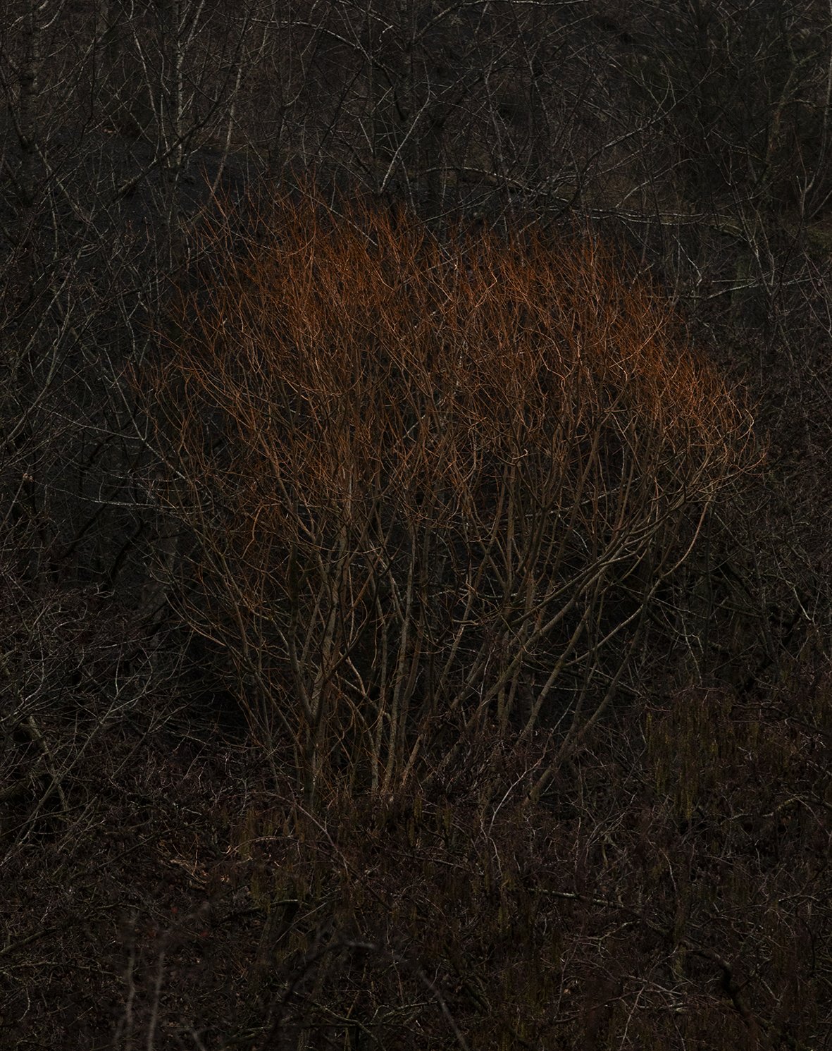 02_Le feu_2026_22x28cm.jpg