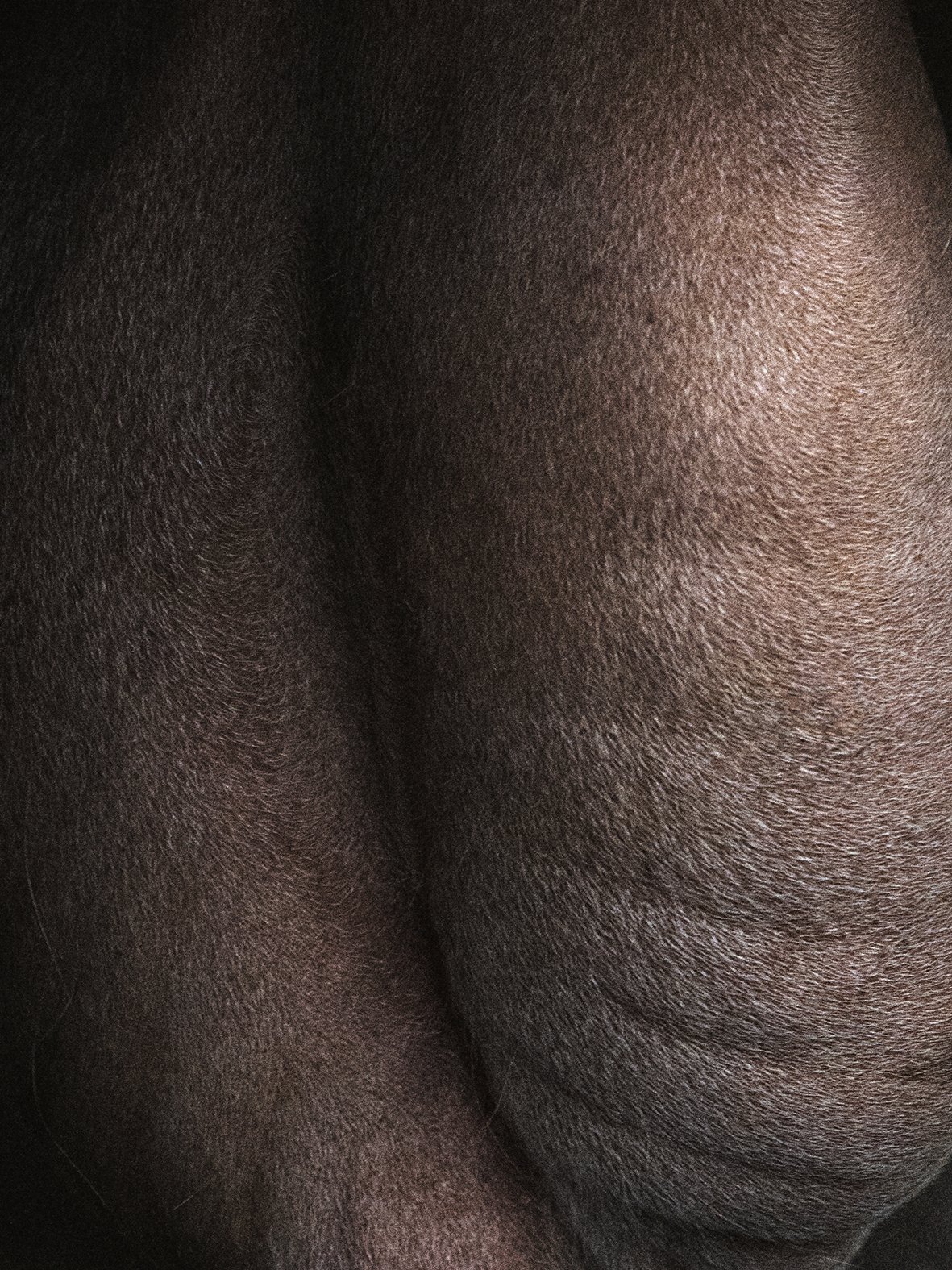 03_Sans titre_13,5x18.jpg