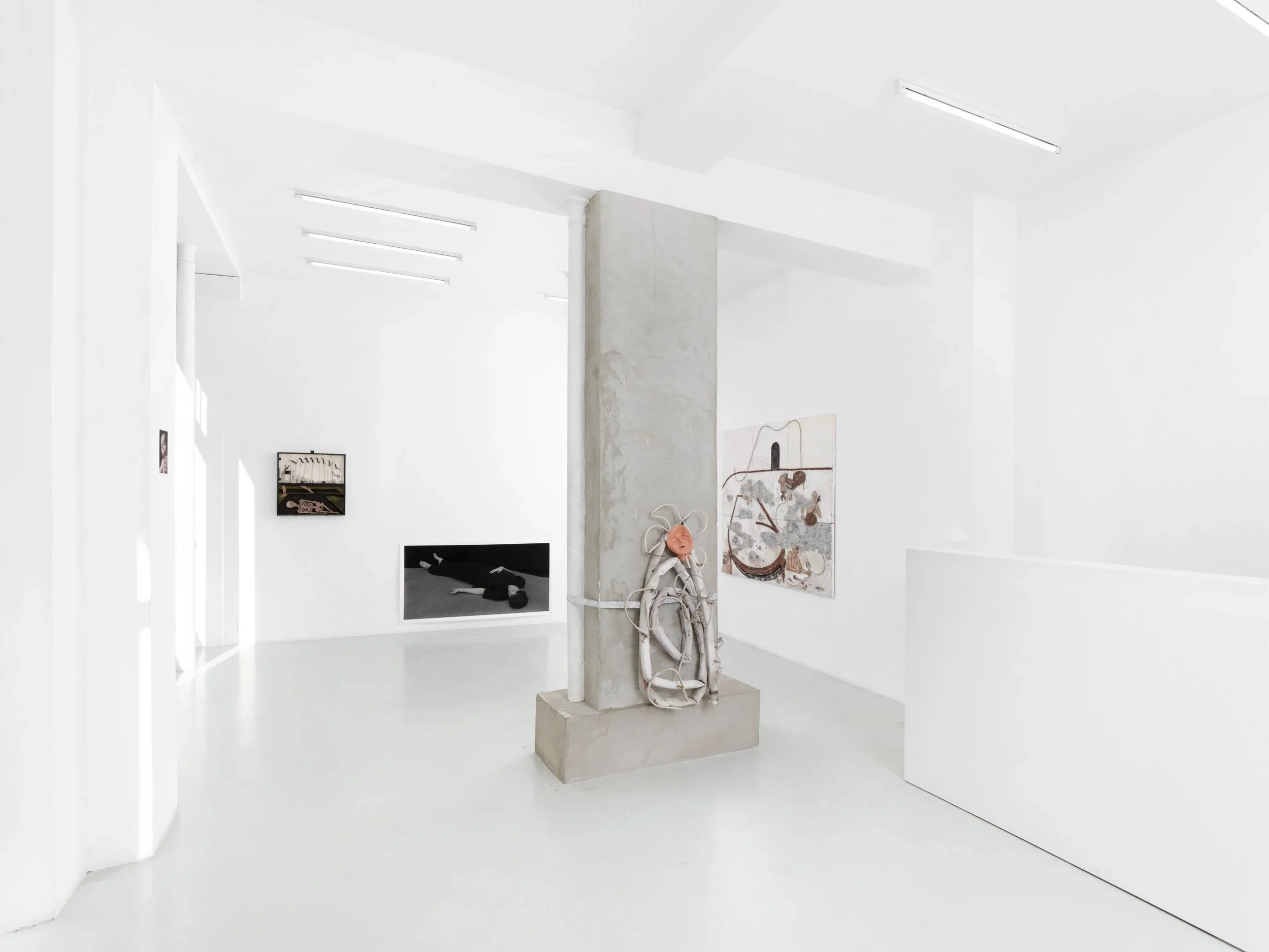 Hannah Becquante & Felix Taburet, Nolwenn Brod, "Ne nous demande pas la parole", Vue d'exposition, Galerie C - Paris, Crédit Aurélien Mole