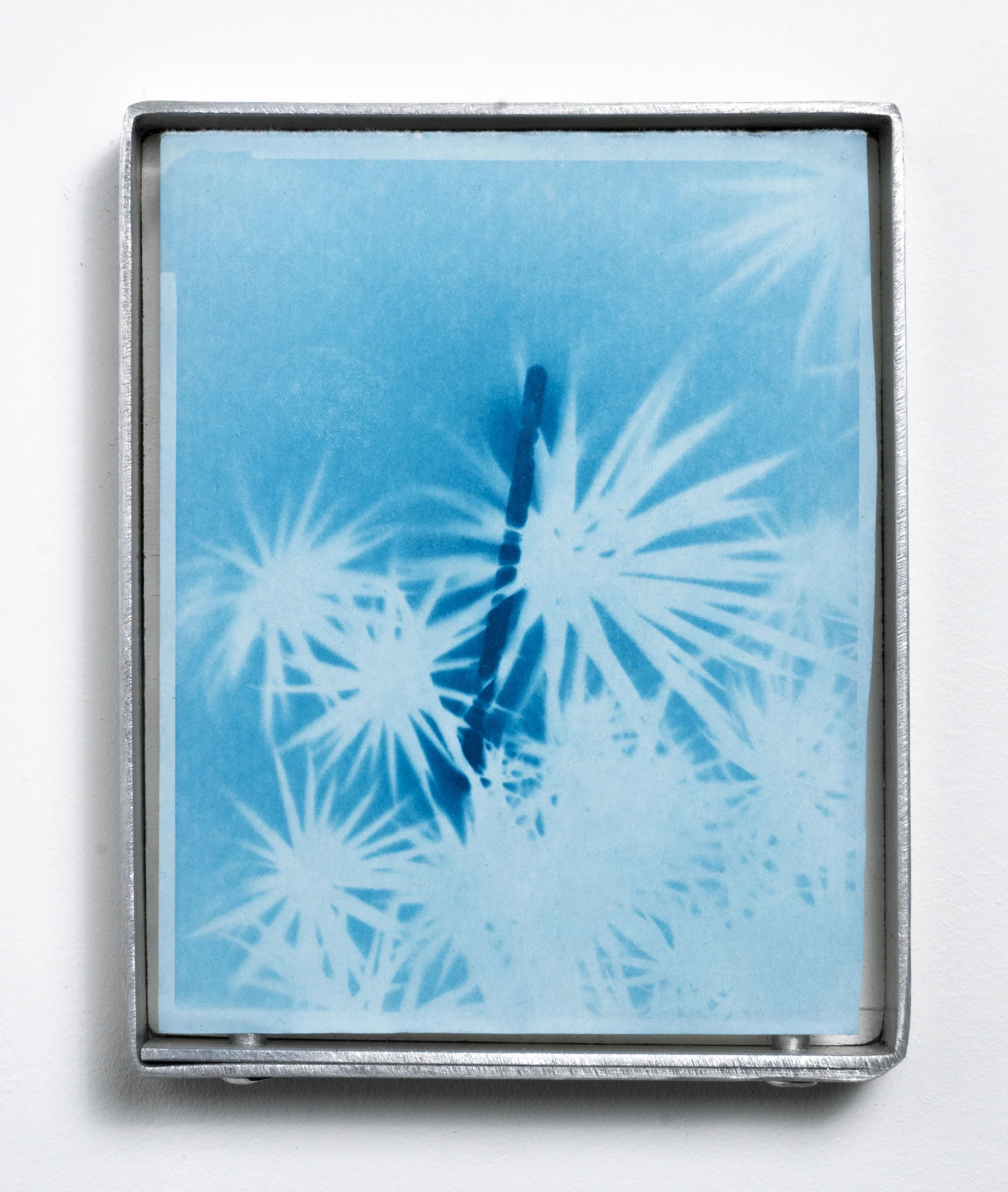 Jesse Wallace, Sans-titre III, 2022, 13 x 10,5 cm, tirage cyanotype contrecollé sur bristol 350g, cadre en aluminium et bois fait main.