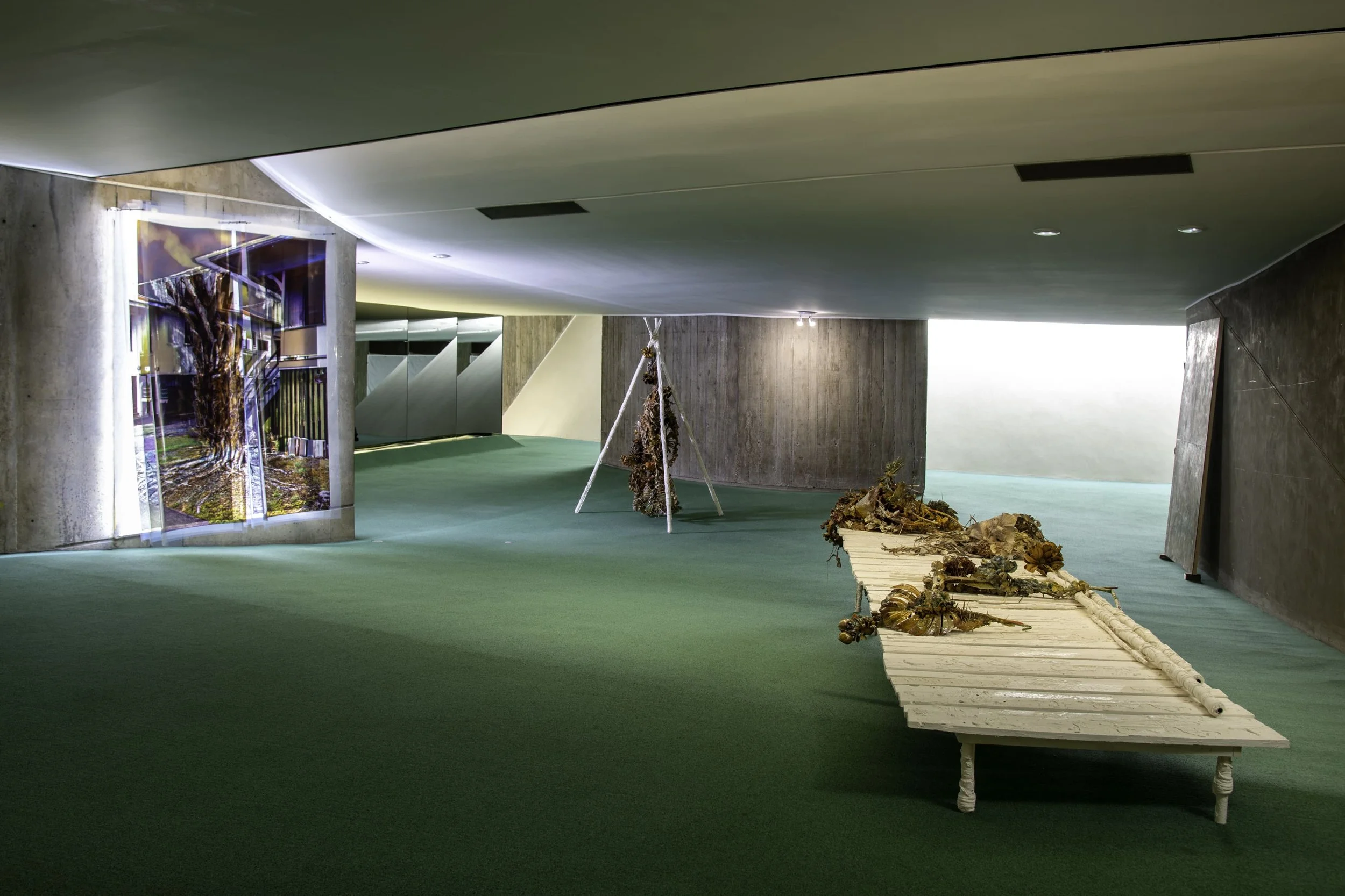 Jesse Wallace, Vue d’exposition, espace Niemeyer, 70 ans Jeune Création, 2020, Paris