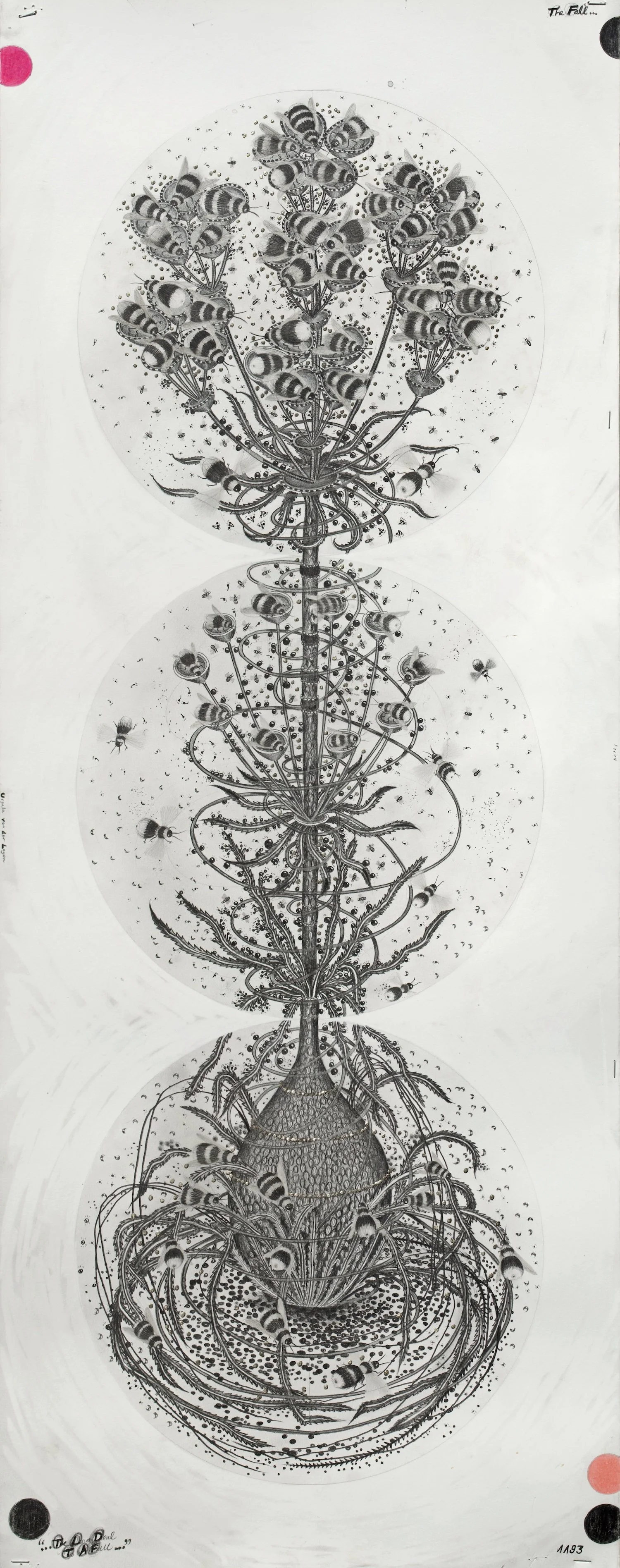 1193-Larva1-copy.jpg