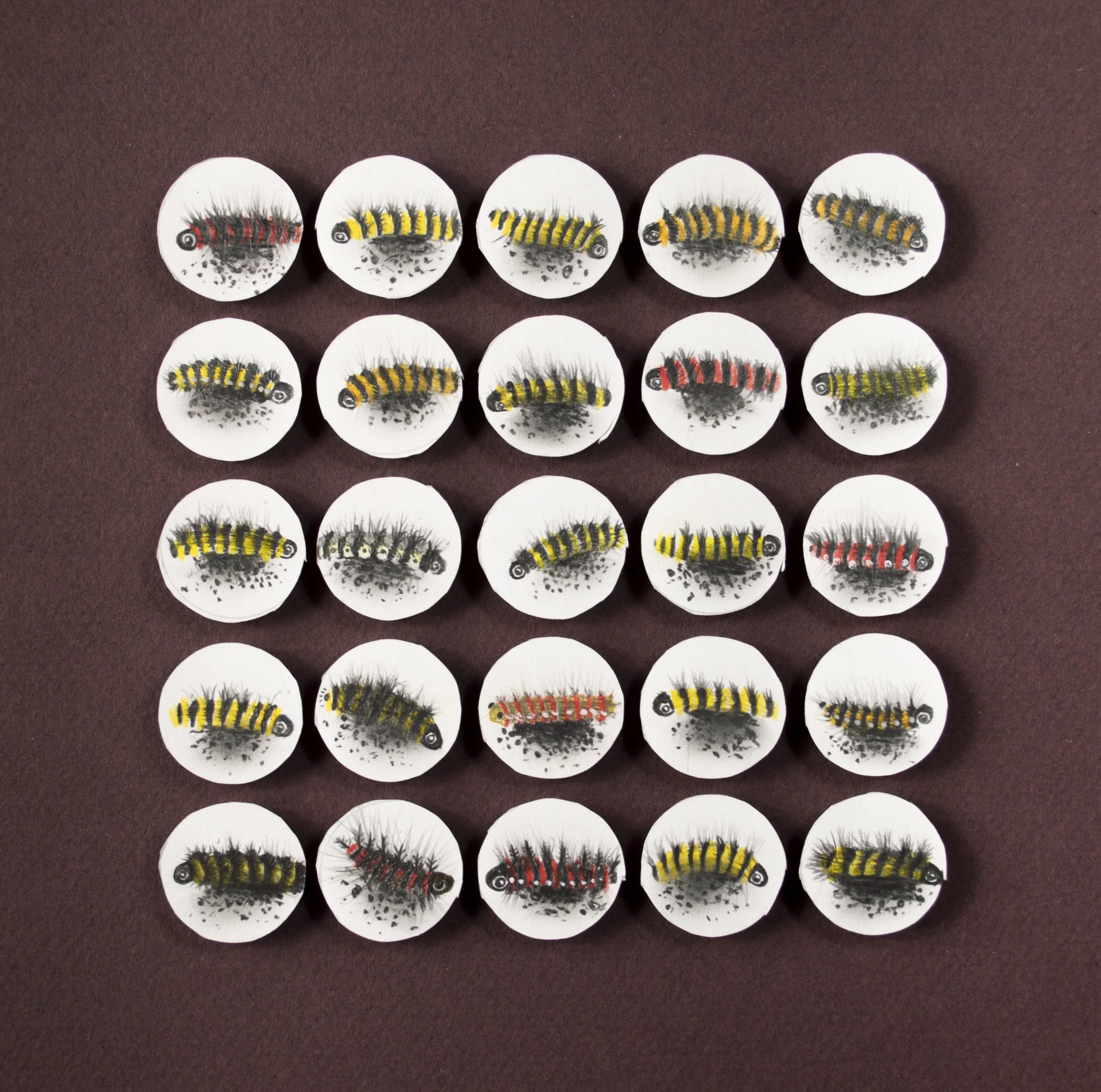 1262-Caterpillars-copy.jpg